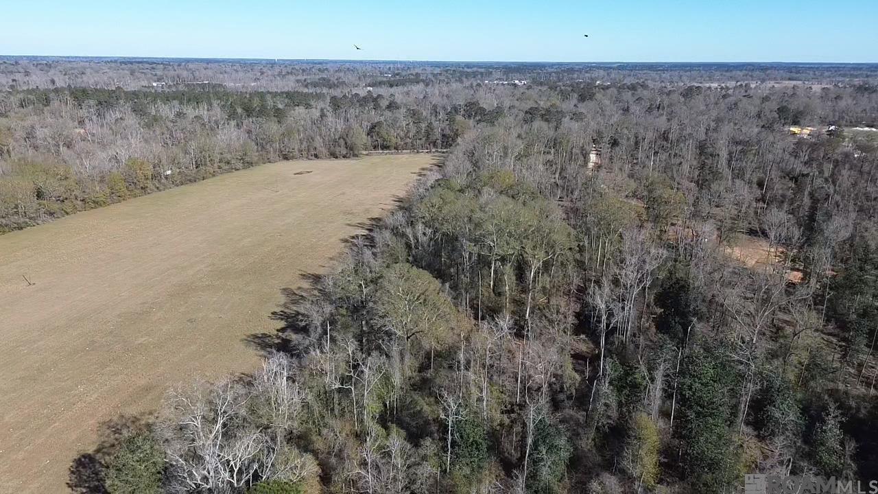TBD Parhams Rd, Jonesville, LA, 71343