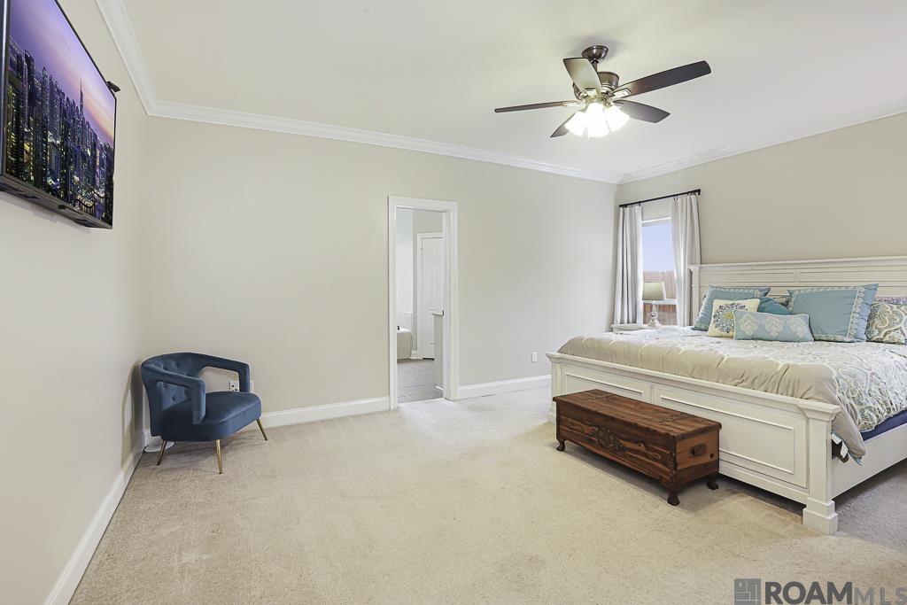 41131 Lakeway Cove Ave, Gonzales, LA, 70737