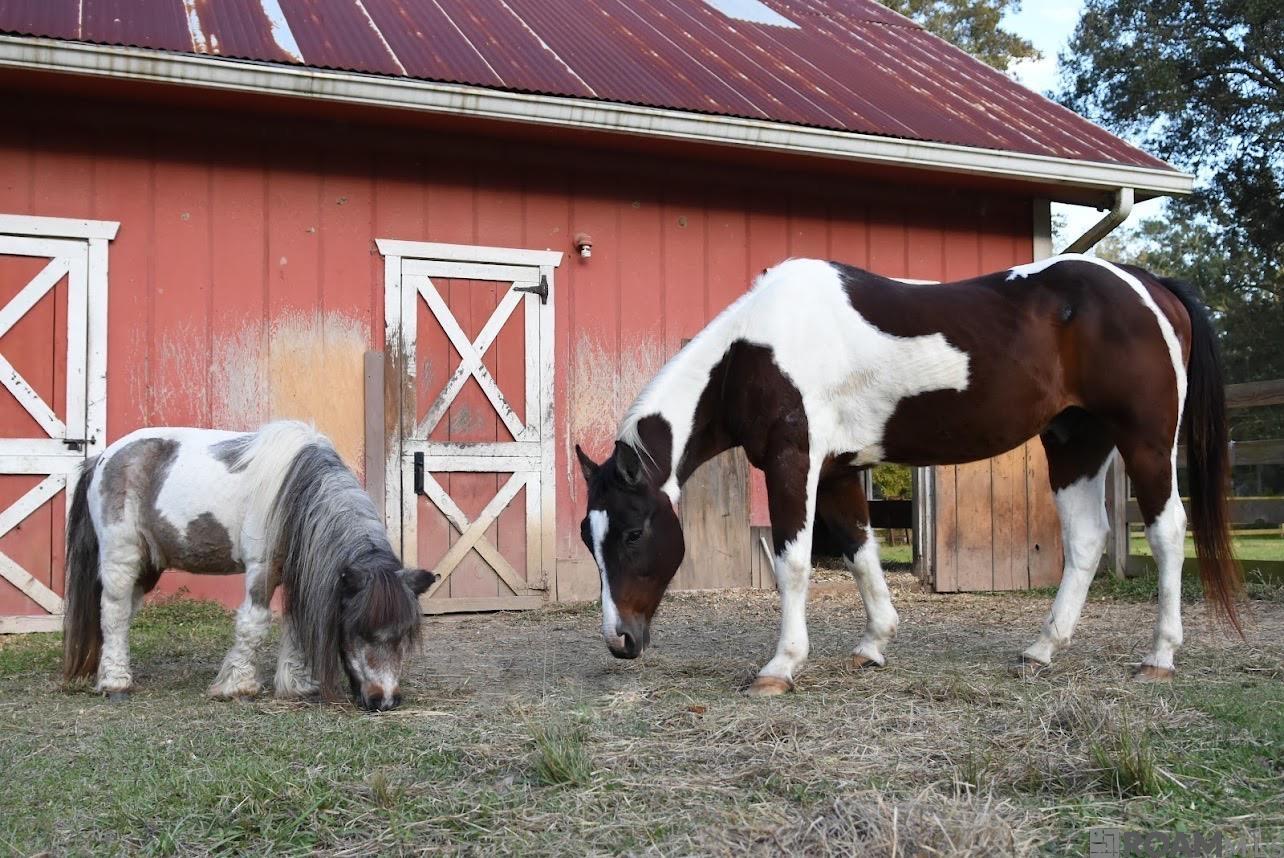 520 Pecan Dr, St Gabriel, LA, 70776