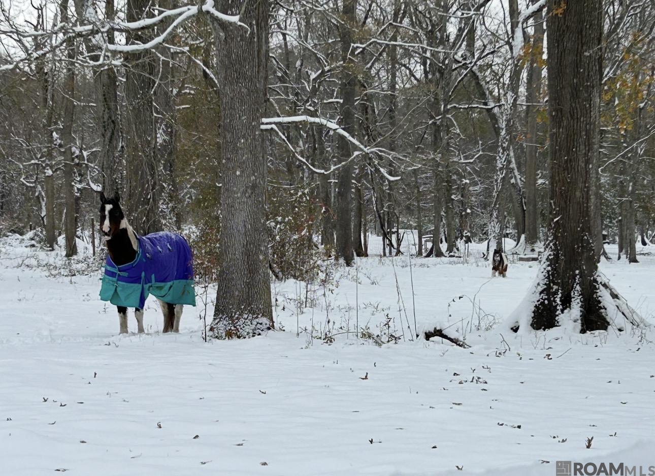 520 Pecan Dr, St Gabriel, LA, 70776