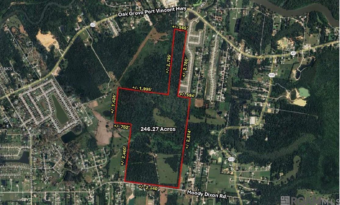 42420 Moody Dixon Rd, Prairieville, LA, 70769