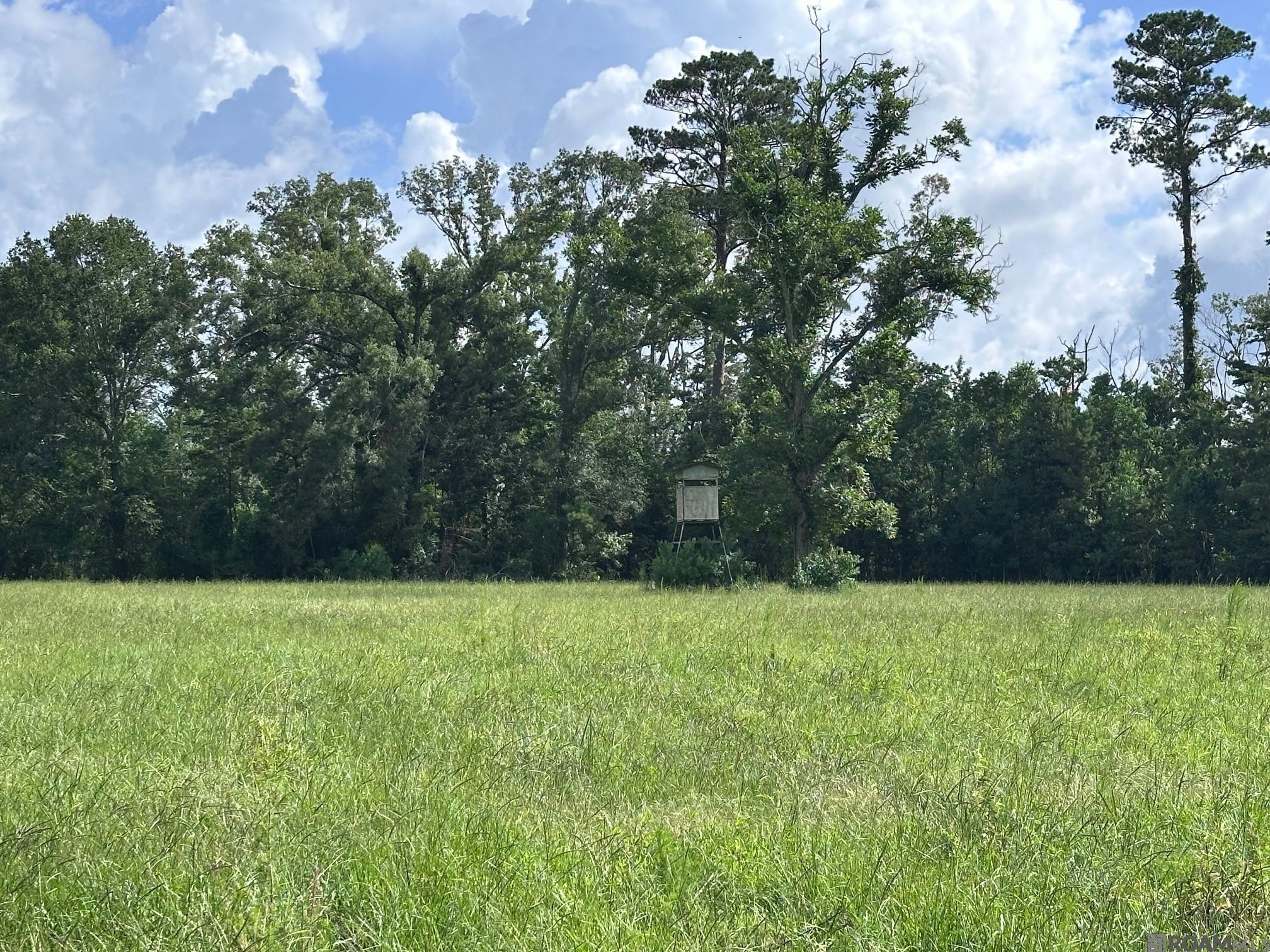 42420 Moody Dixon Rd, Prairieville, LA, 70769