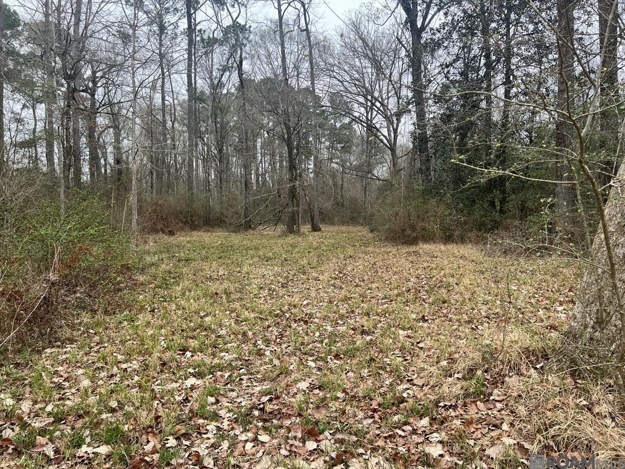 listing_img1