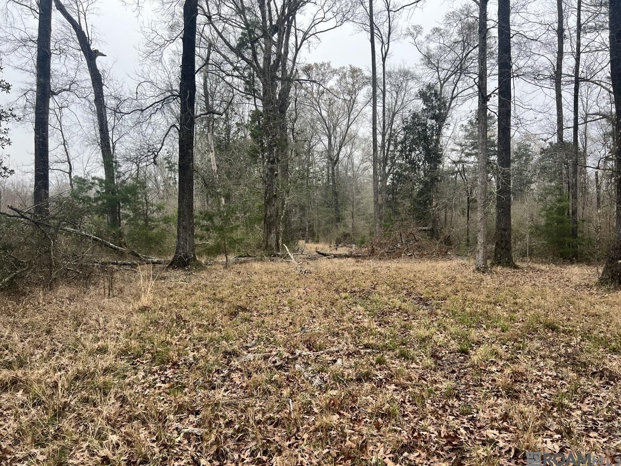 listing_img1