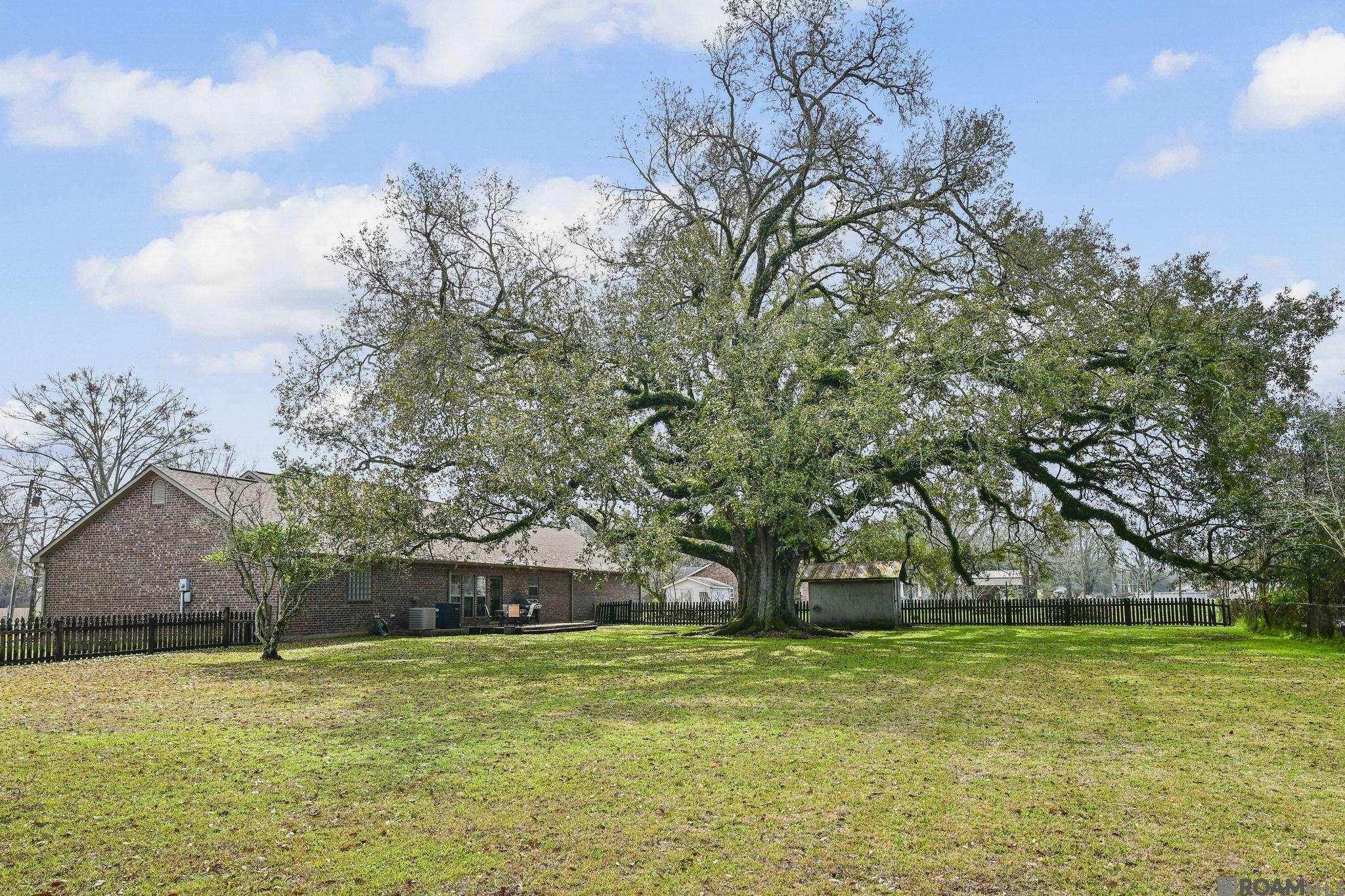 41255 Black Bayou Rd, Gonzales, LA, 70737