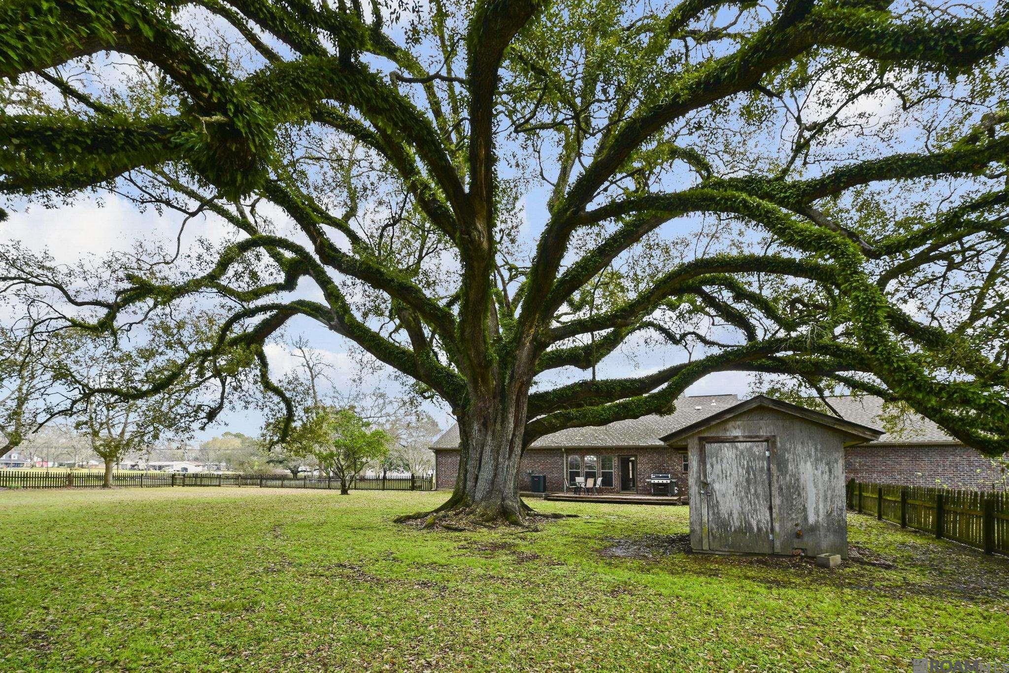 41255 Black Bayou Rd, Gonzales, LA, 70737