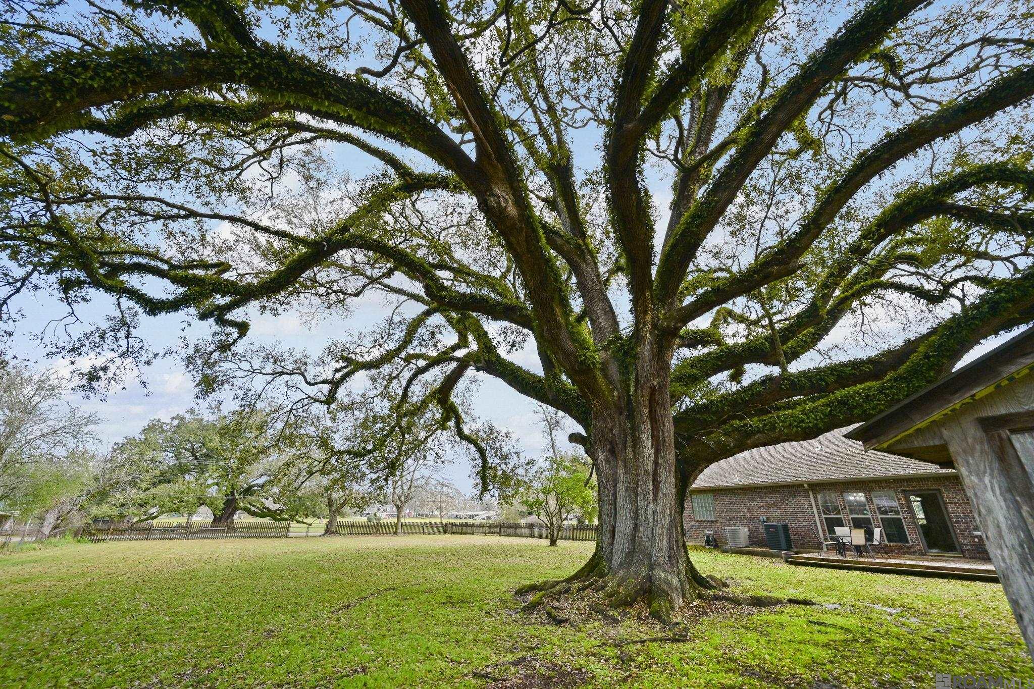 41255 Black Bayou Rd, Gonzales, LA, 70737