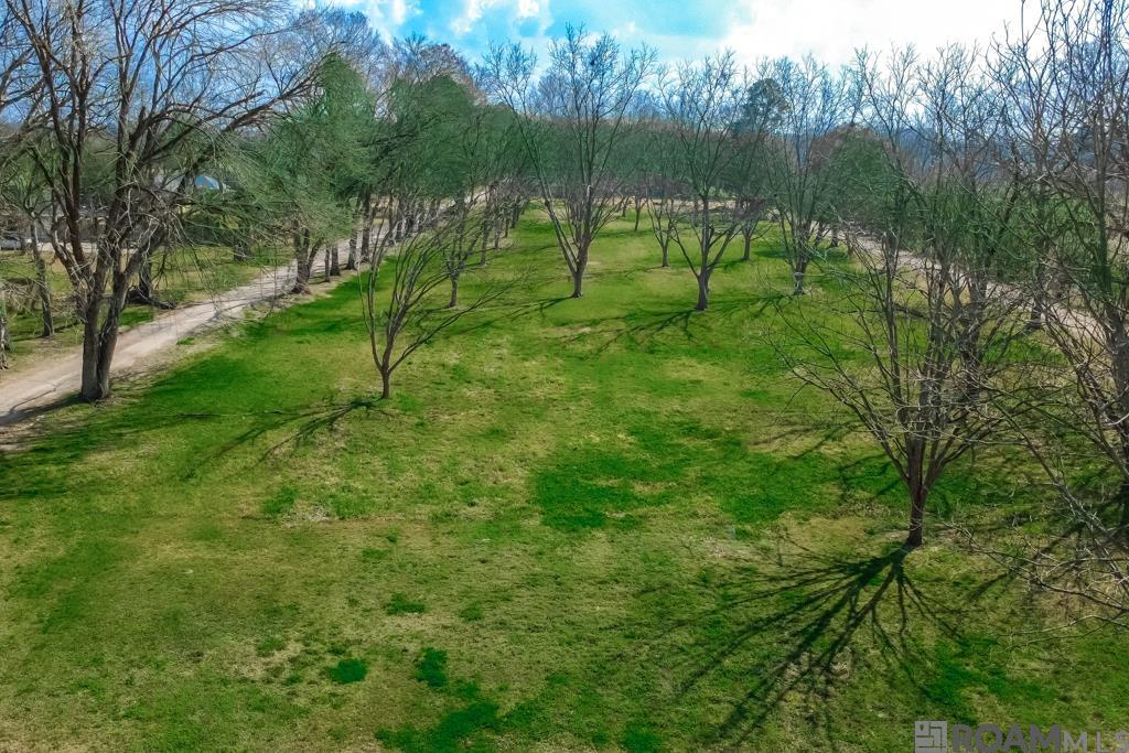 14204 Patin Dyke Rd, Ventress, LA, 70783