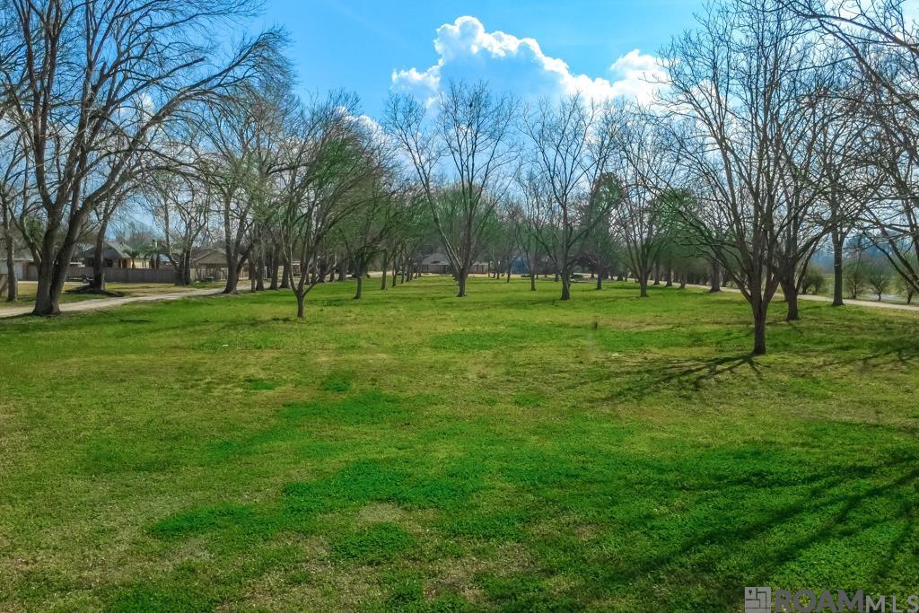 14204 Patin Dyke Rd, Ventress, LA, 70783