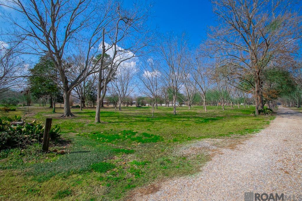 14204 Patin Dyke Rd, Ventress, LA, 70783