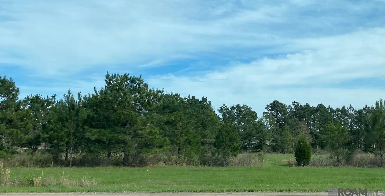 32816 La Hwy 16, Denham Springs, LA, 70706