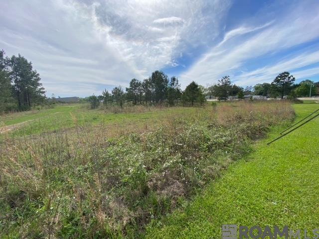 32816 La Hwy 16, Denham Springs, LA, 70706