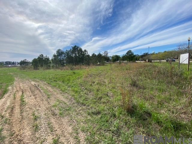 32816 La Hwy 16, Denham Springs, LA, 70706