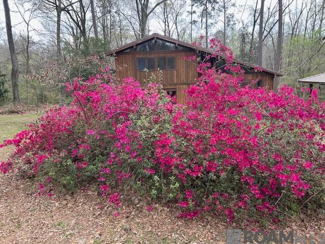 10894 Bains Rd, St Francisville, LA, 70775