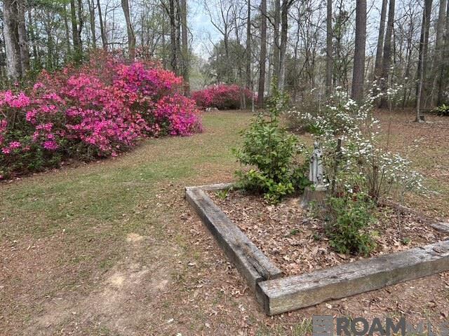 10894 Bains Rd, St Francisville, LA, 70775