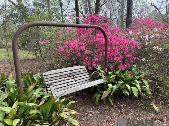 10894 Bains Rd, St Francisville, LA, 70775