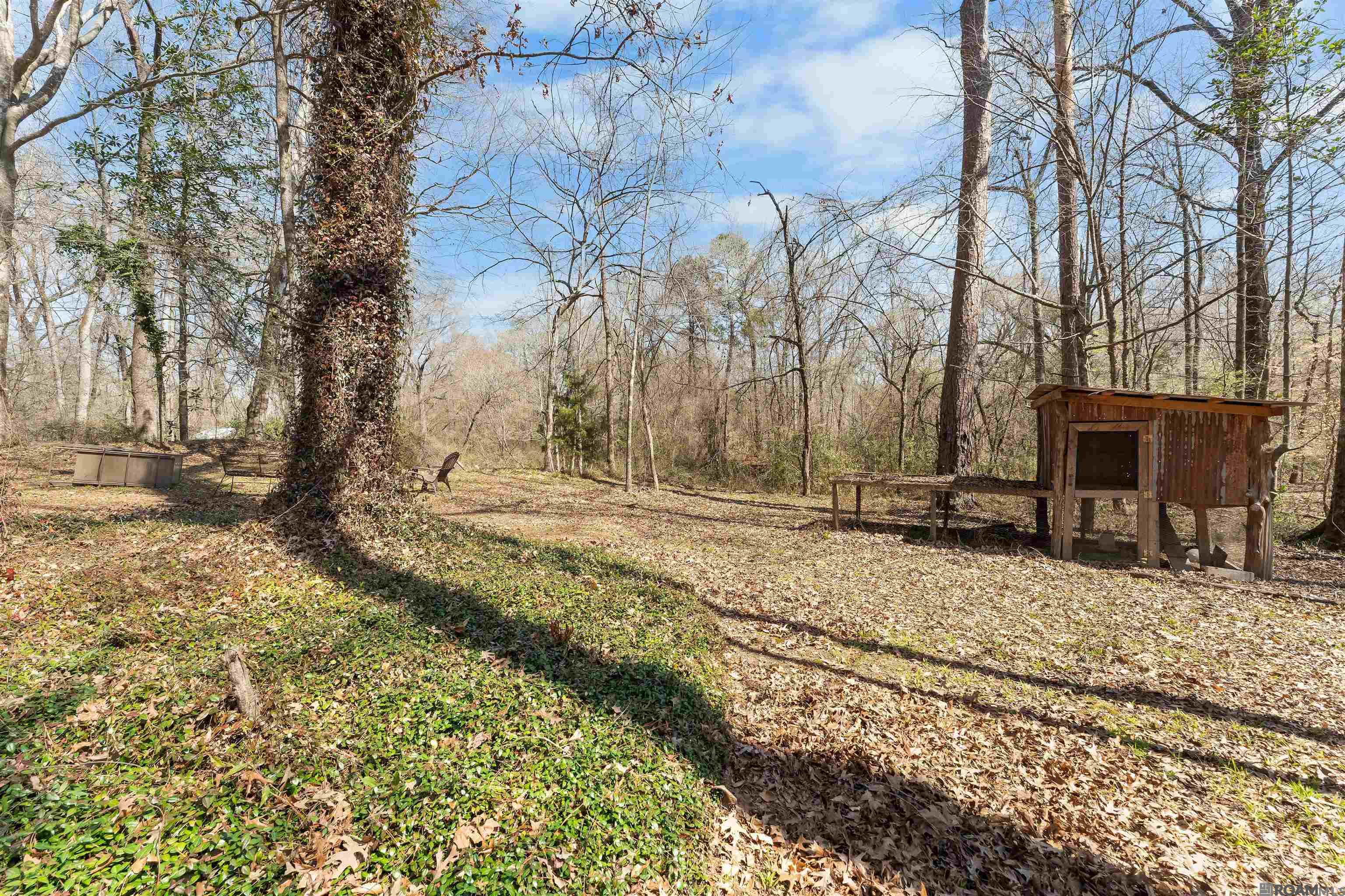 10894 Bains Rd, St Francisville, LA, 70775