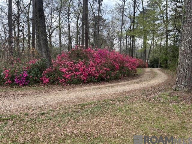 10894 Bains Rd, St Francisville, LA, 70775