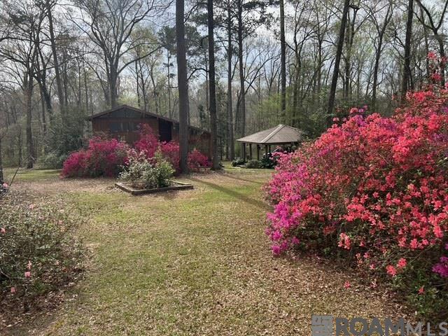 10894 Bains Rd, St Francisville, LA, 70775