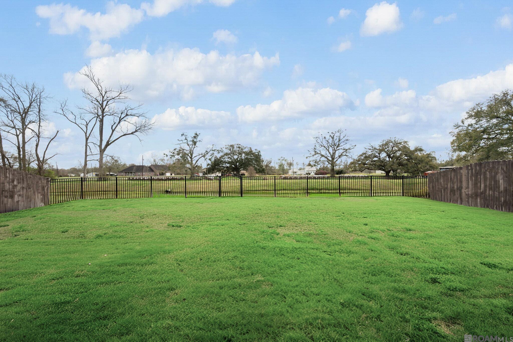 37226 Meador Ln, Geismar, LA, 70734