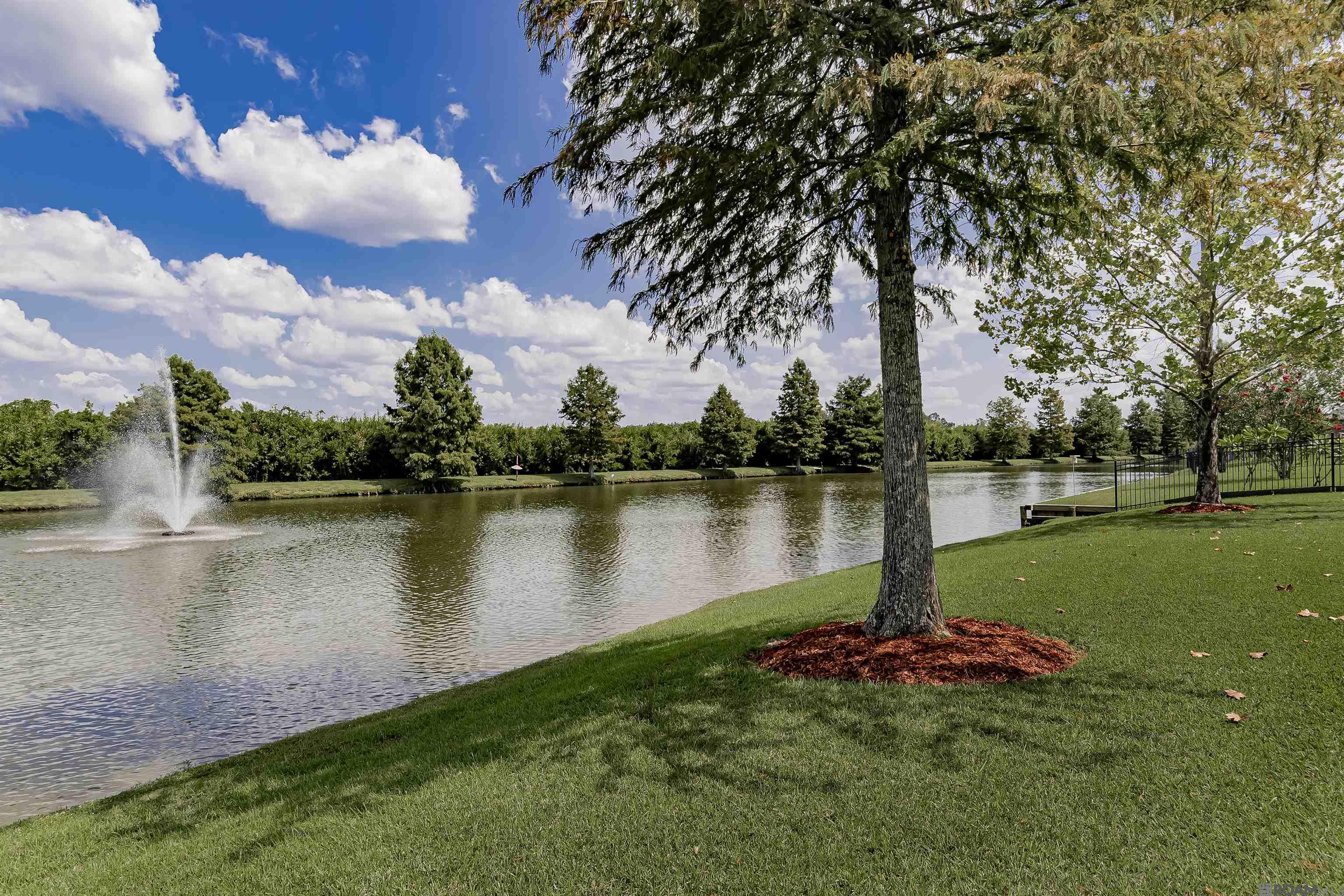 14628 Memorial Tower Dr, Baton Rouge, LA, 70810