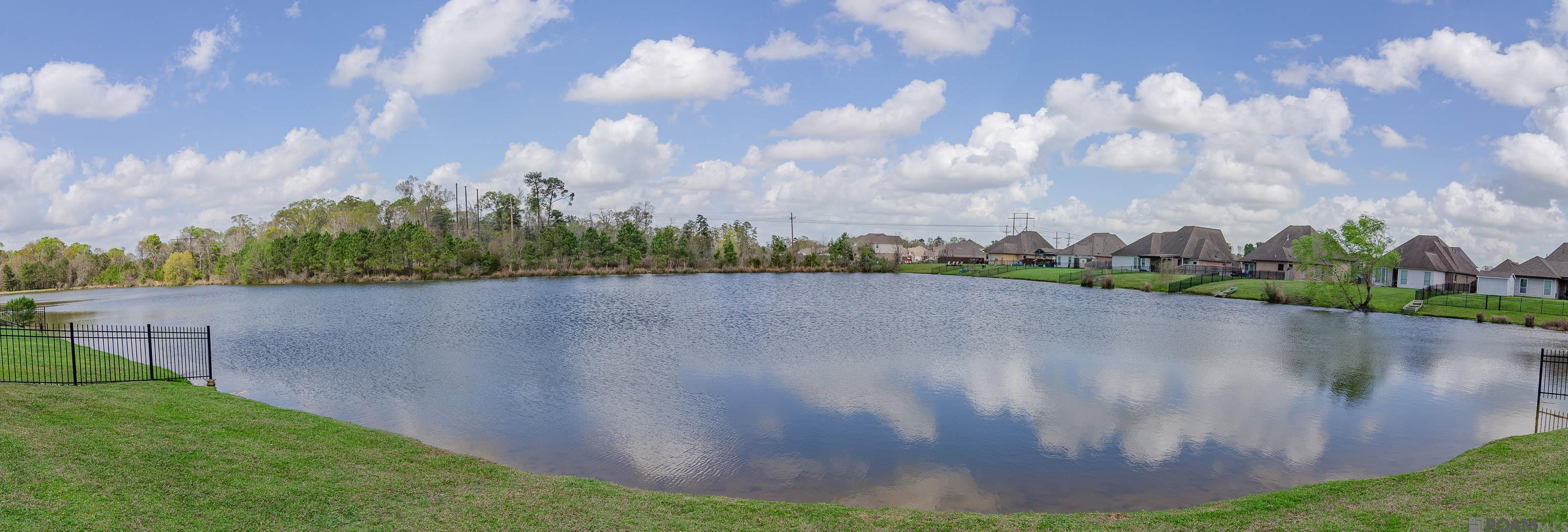 8685 Sandpiper Street, Denham Springs, LA, 70706