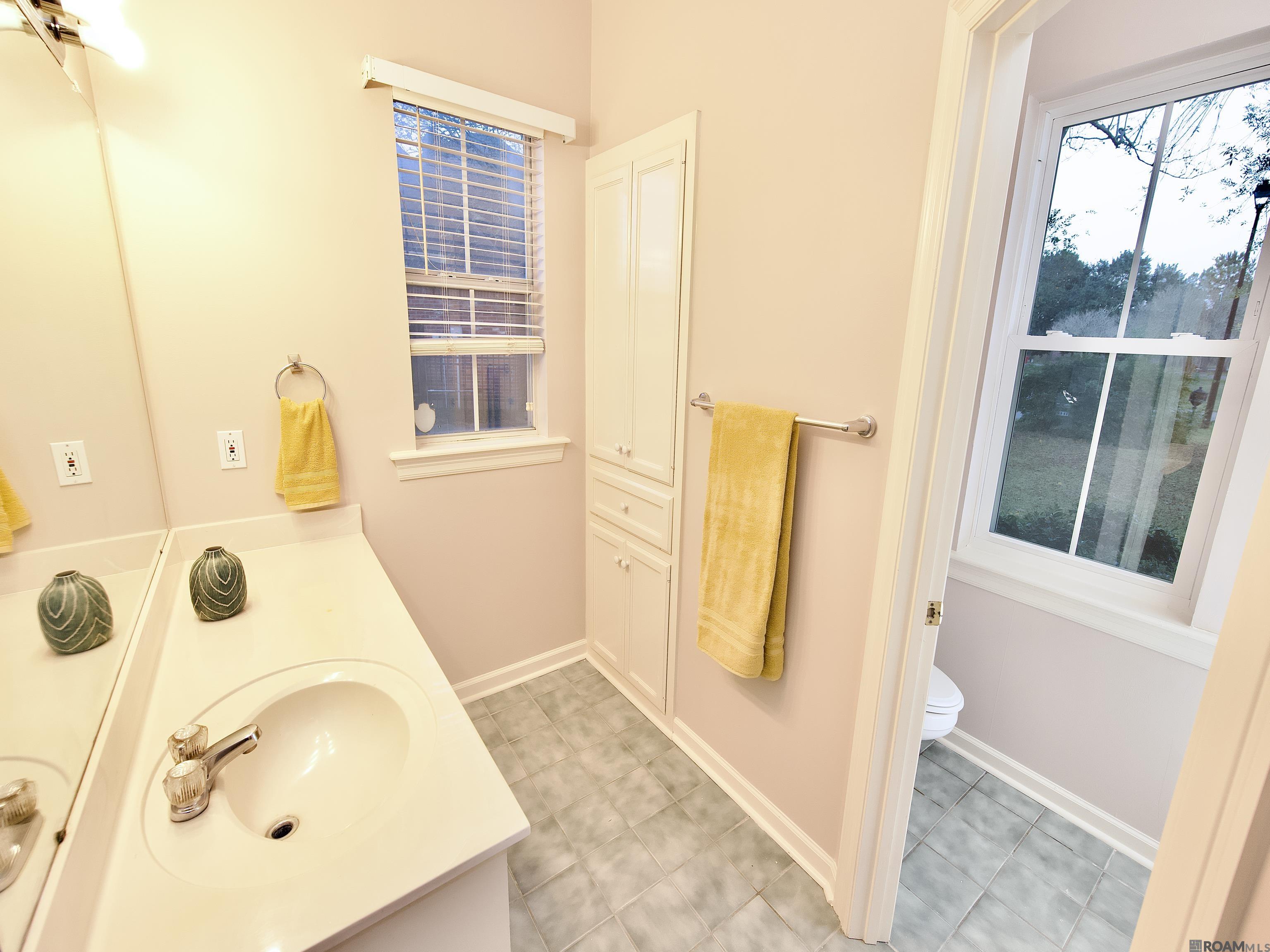 15509 Therese Ct, Prairieville, LA, 70769