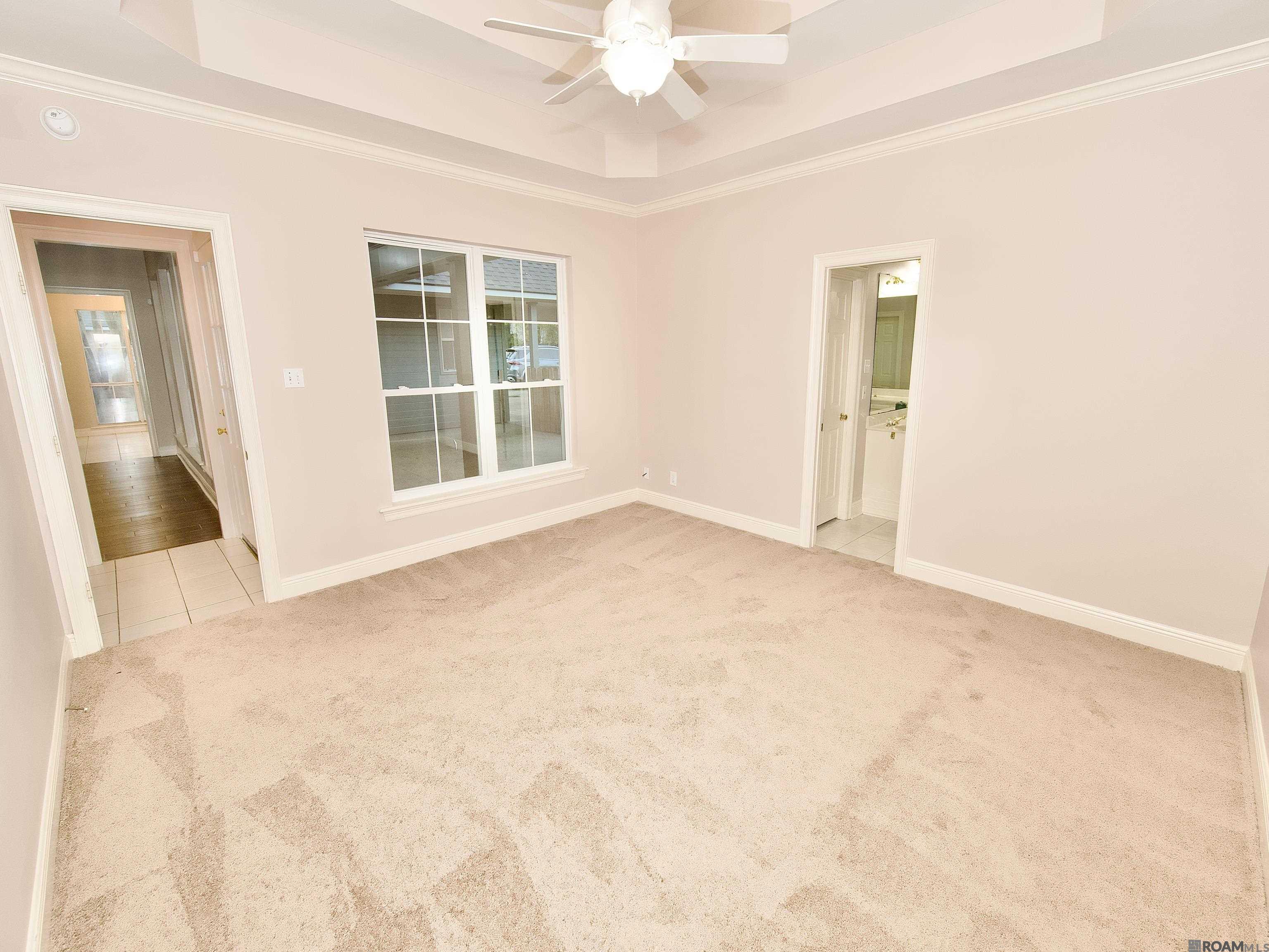 15509 Therese Ct, Prairieville, LA, 70769