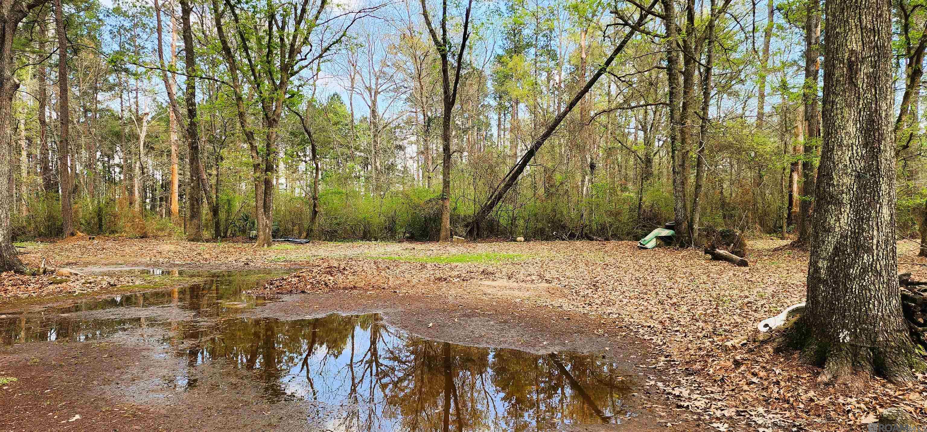 27678 Wisconsin Ln, Holden, LA, 70744