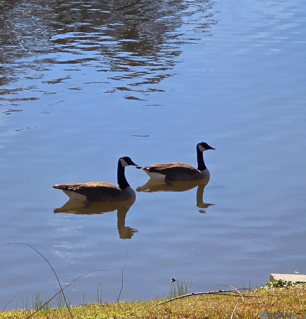 18167 Kenner Dr, Prairieville, LA, 70769