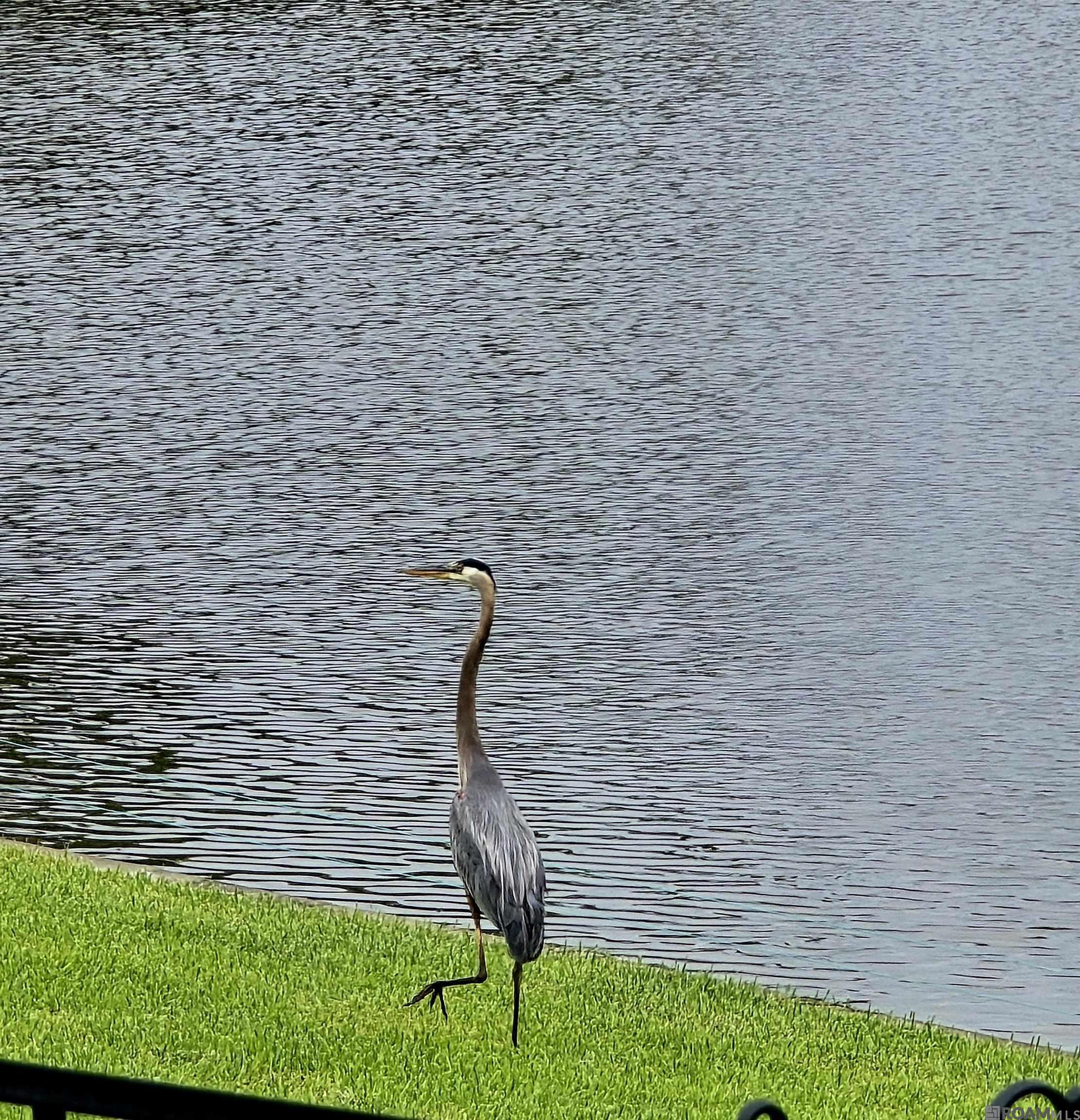 18167 Kenner Dr, Prairieville, LA, 70769