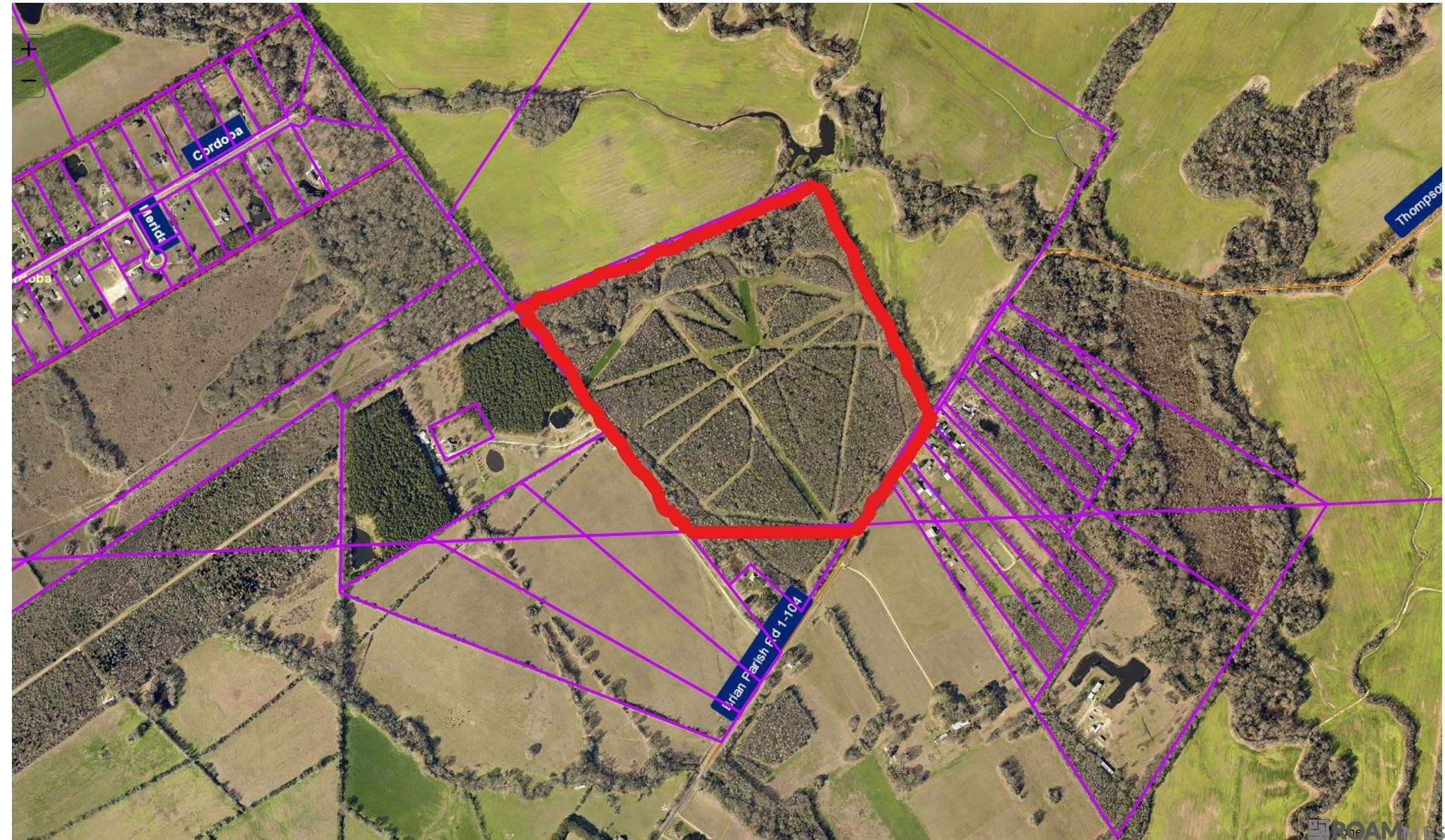 21.85 acres Bull Wevil Dr, Gonzales, LA, 70737