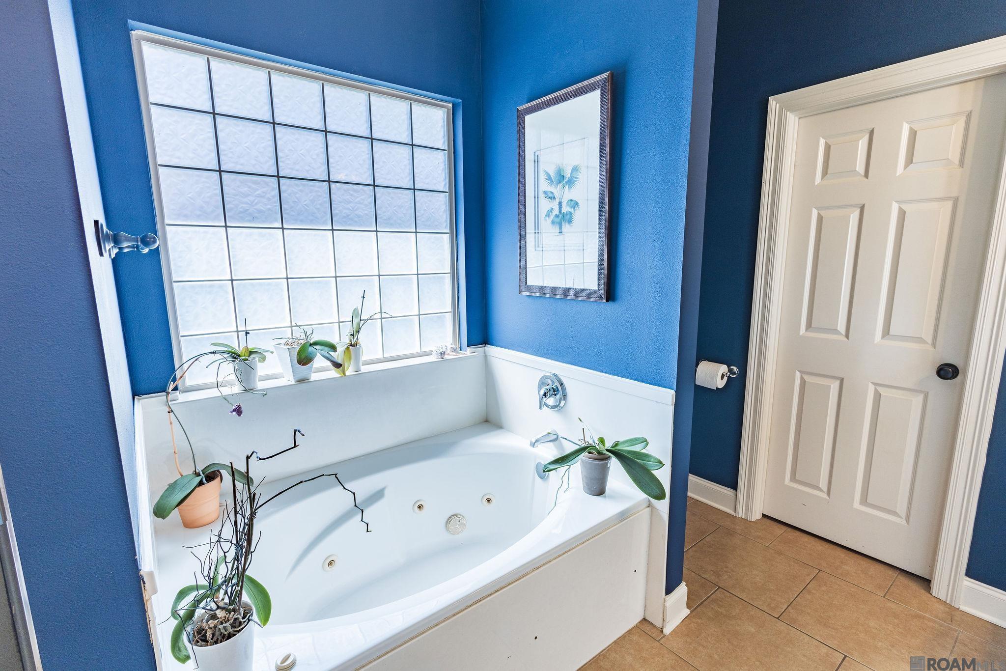 3101 Nicholson Lake Dr, Baton Rouge, LA, 70810