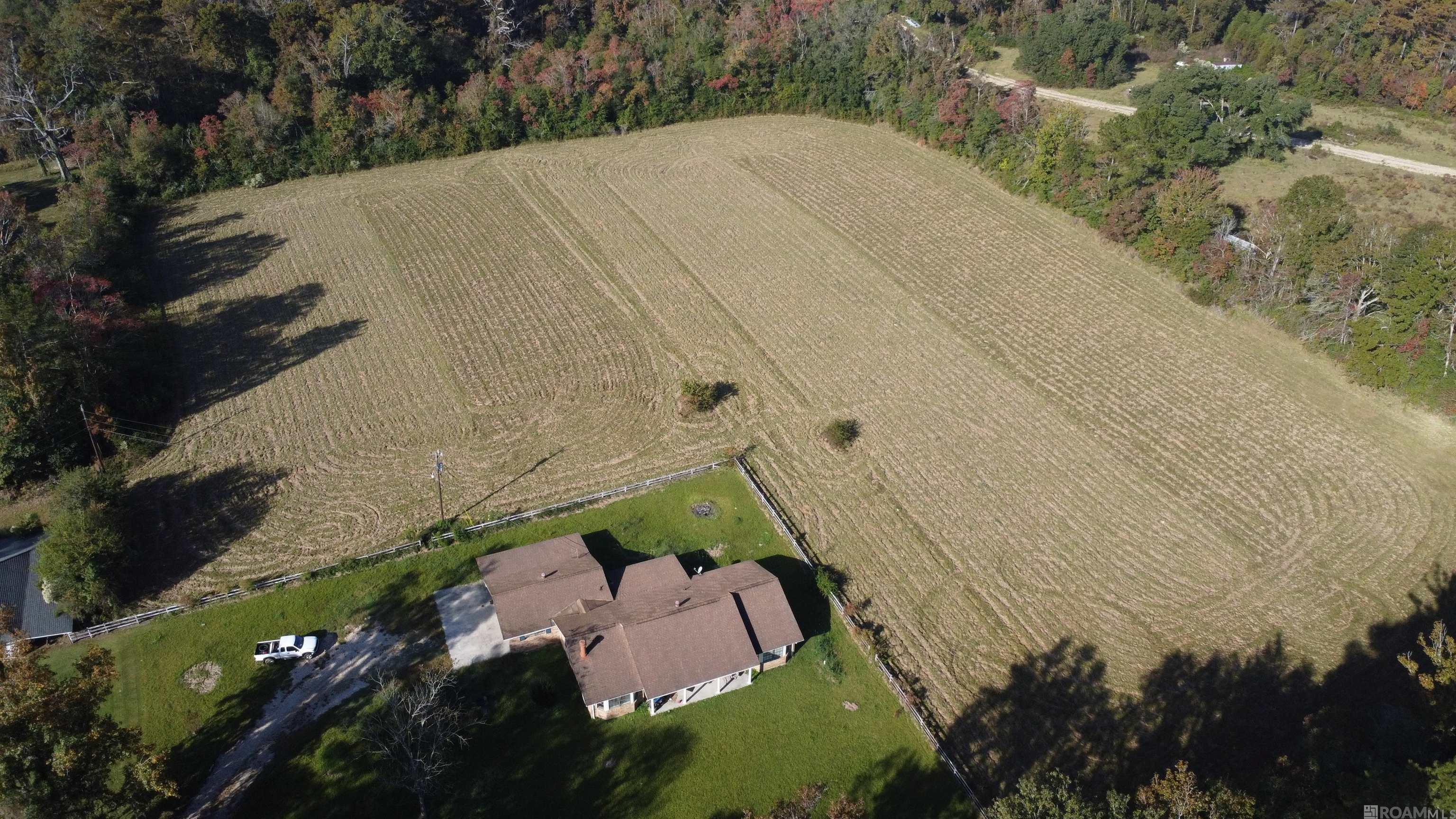 19.4 acres Fountain Young Rd, Pine Grove, LA, 70456