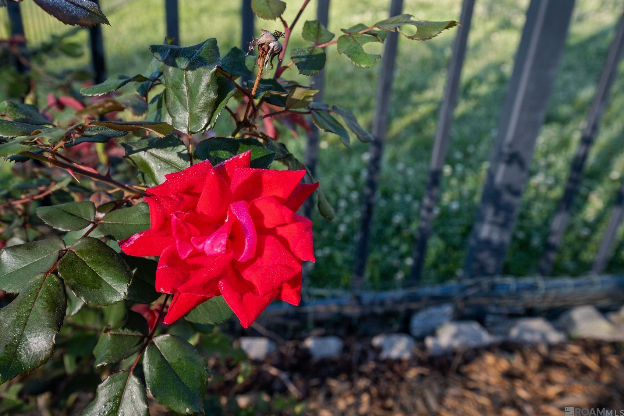 18329 Manchac Place South, Prairieville, LA, 70769