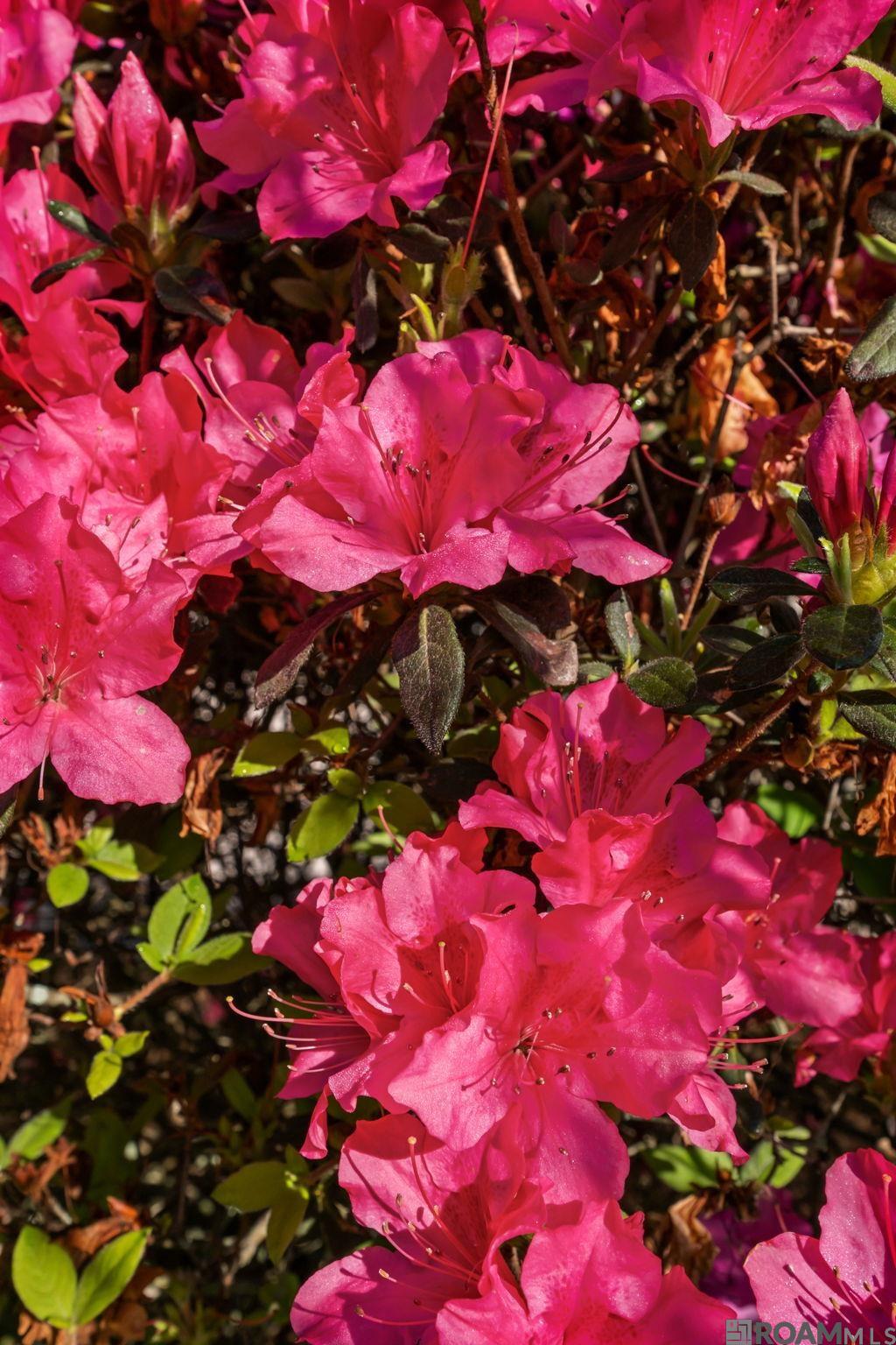 18329 Manchac Place South, Prairieville, LA, 70769