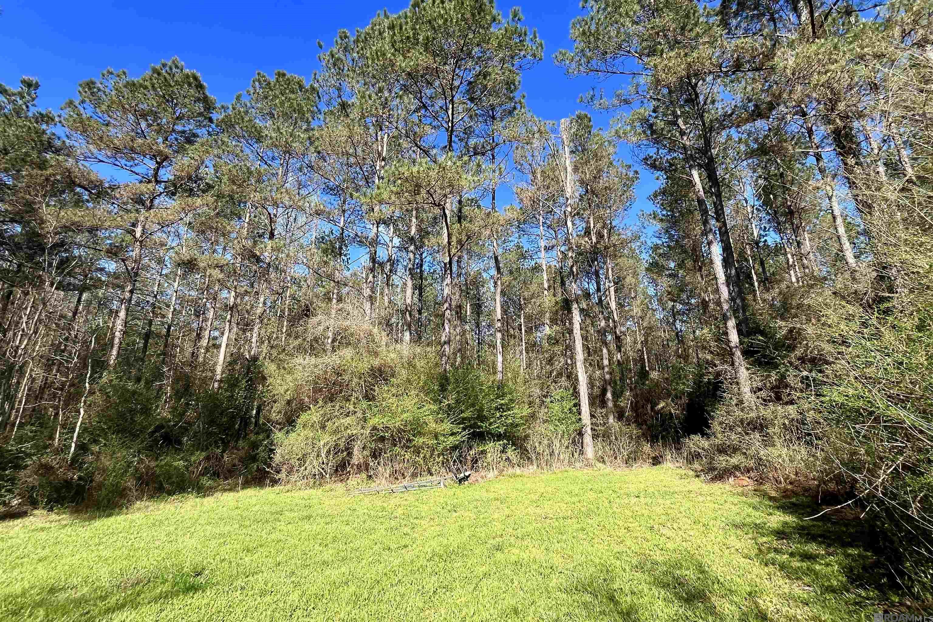 10608 Manchac Pass, Baton Rouge, LA, 70817