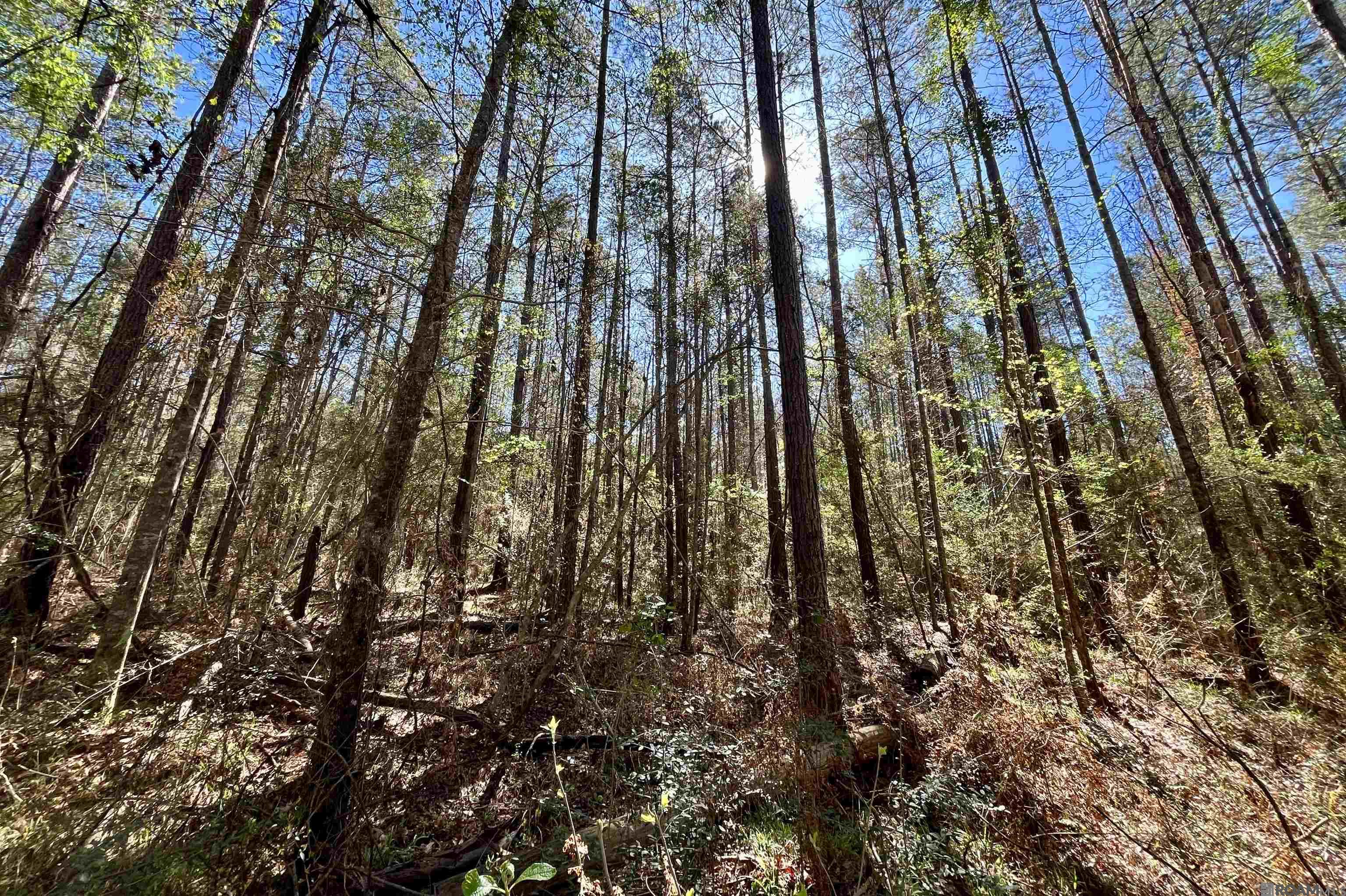 50 Hall And Lindsey Rd, Greensburg, LA, 70441