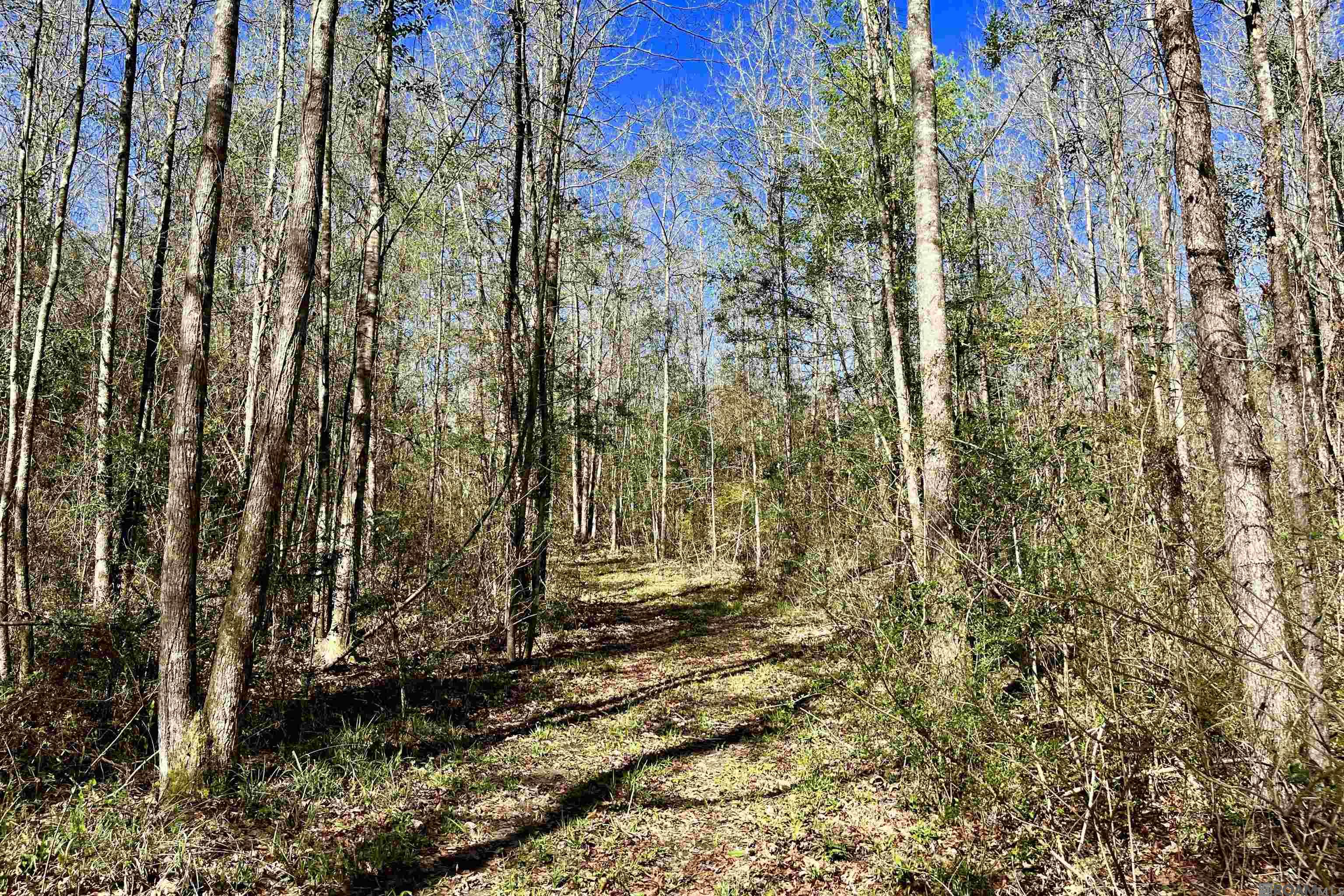 50 Hall And Lindsey Rd, Greensburg, LA, 70441