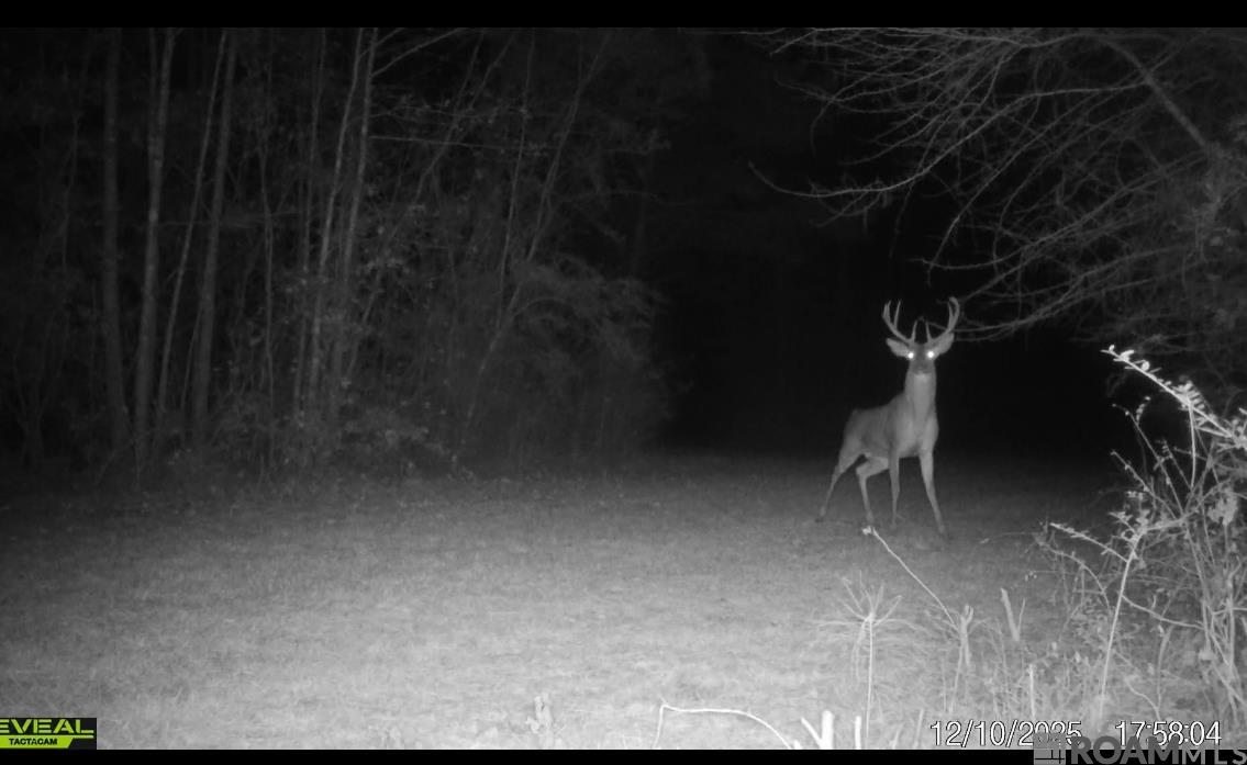 50 Hall And Lindsey Rd, Greensburg, LA, 70441