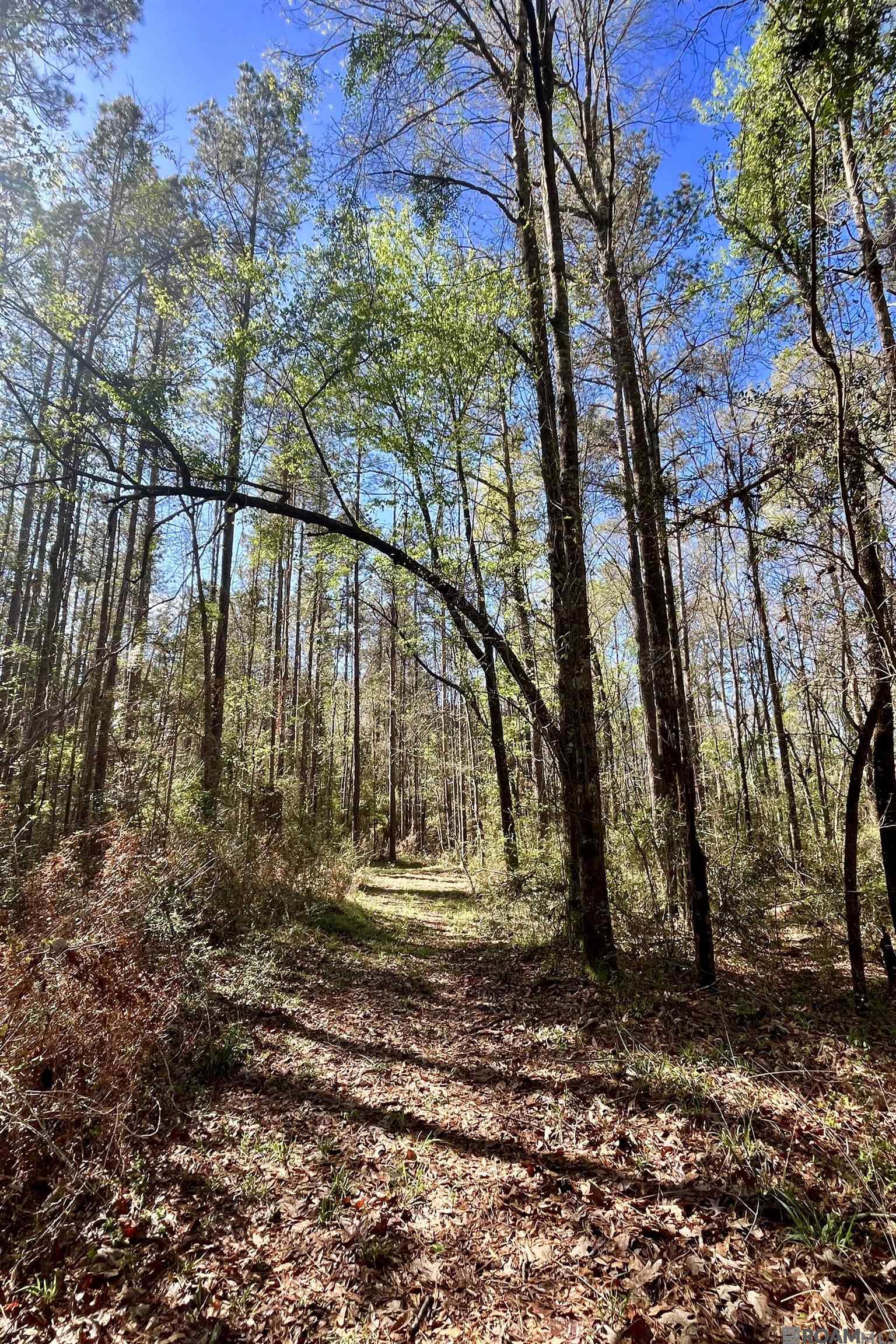 50 Hall And Lindsey Rd, Greensburg, LA, 70441