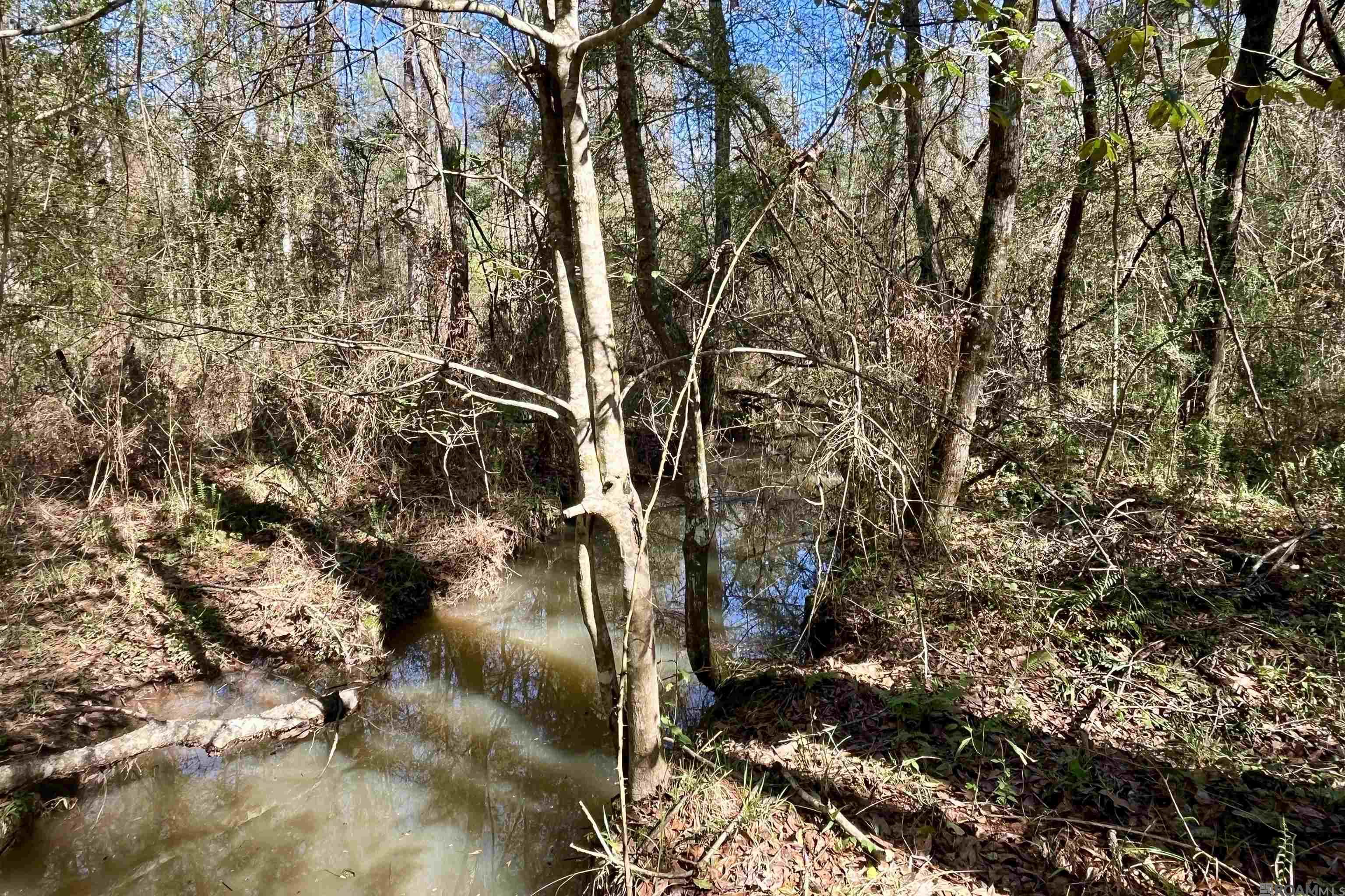 50 Hall And Lindsey Rd, Greensburg, LA, 70441