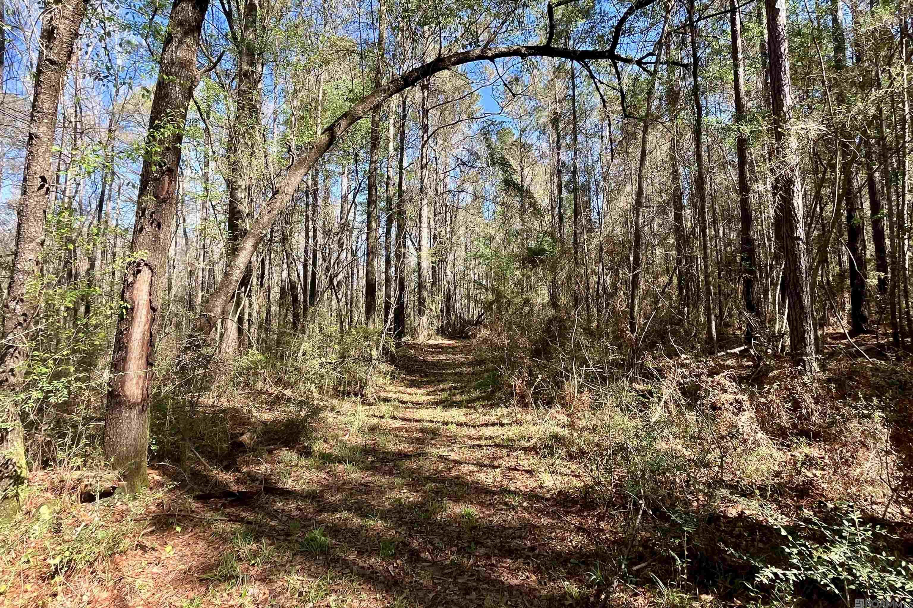 50 Hall And Lindsey Rd, Greensburg, LA, 70441