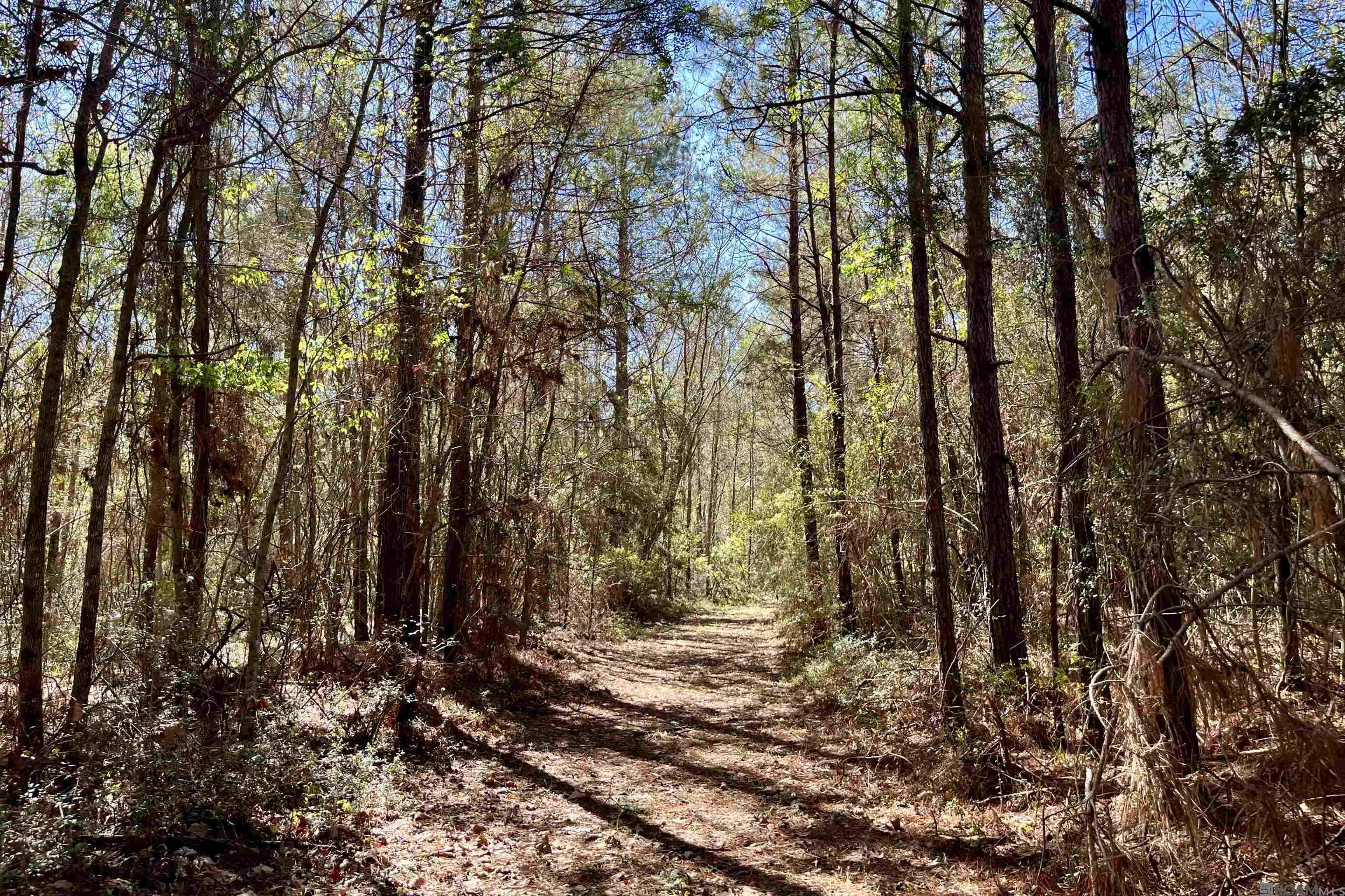 50 Hall And Lindsey Rd, Greensburg, LA, 70441