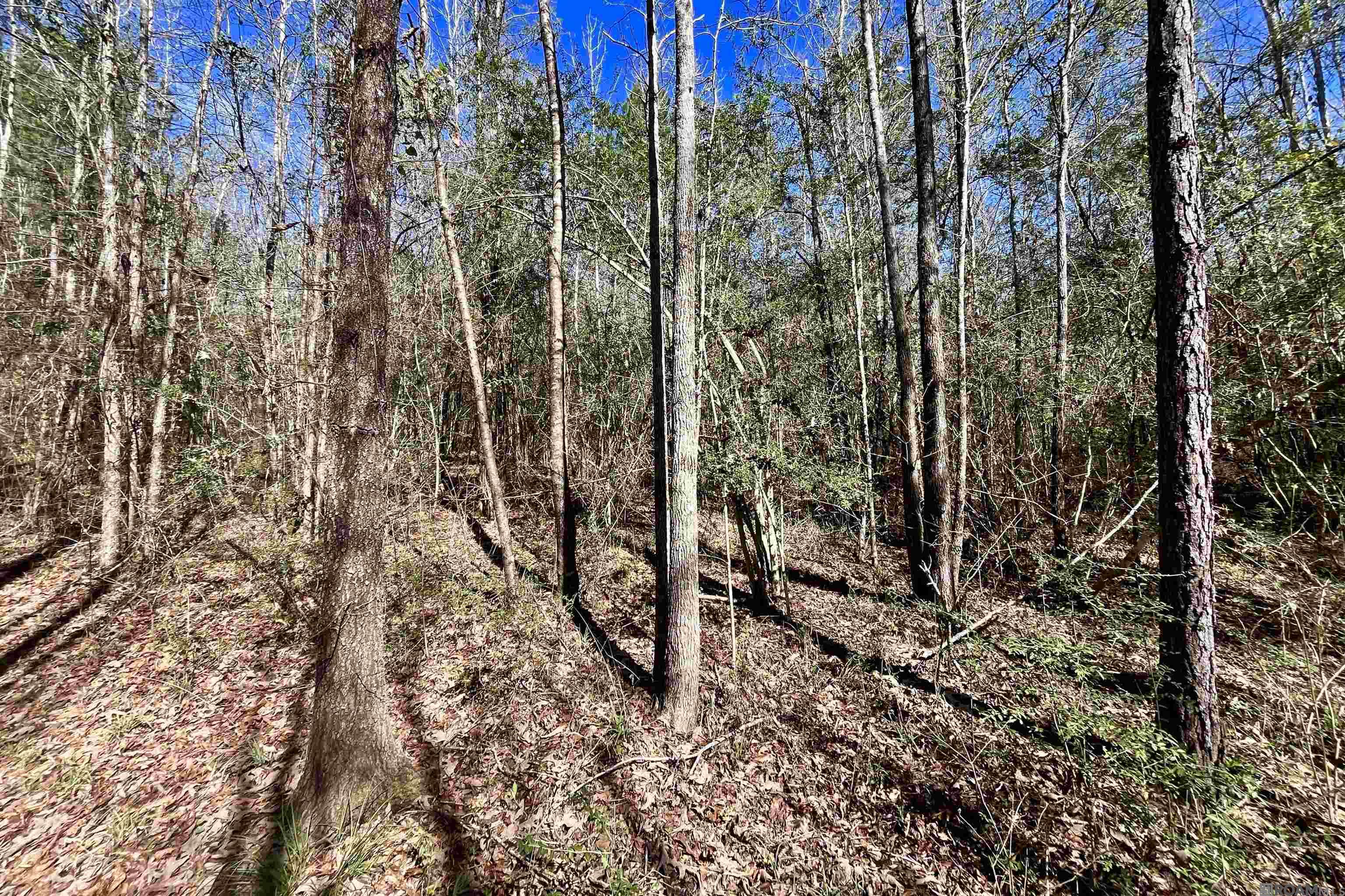 50 Hall And Lindsey Rd, Greensburg, LA, 70441