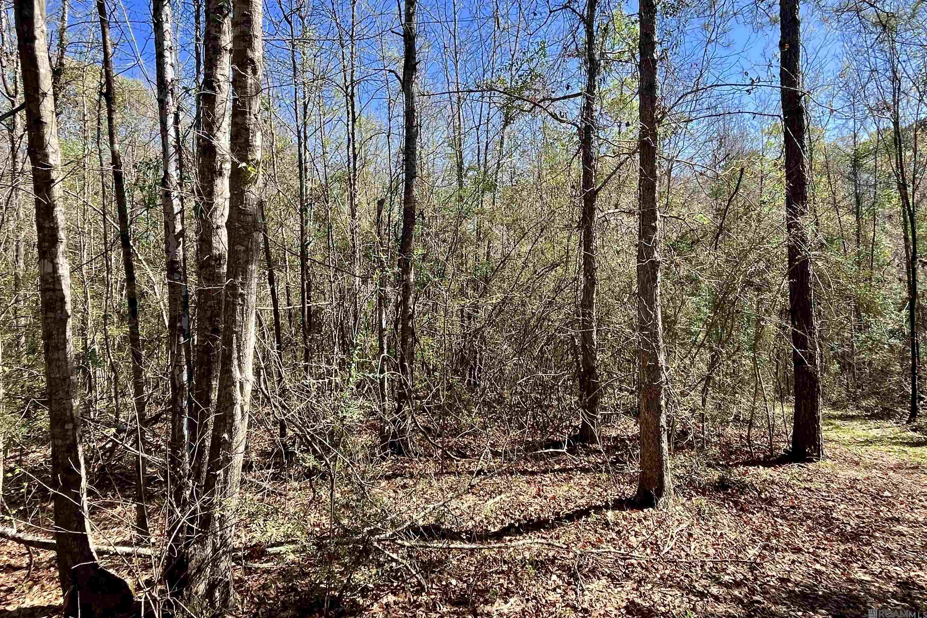 50 Hall And Lindsey Rd, Greensburg, LA, 70441