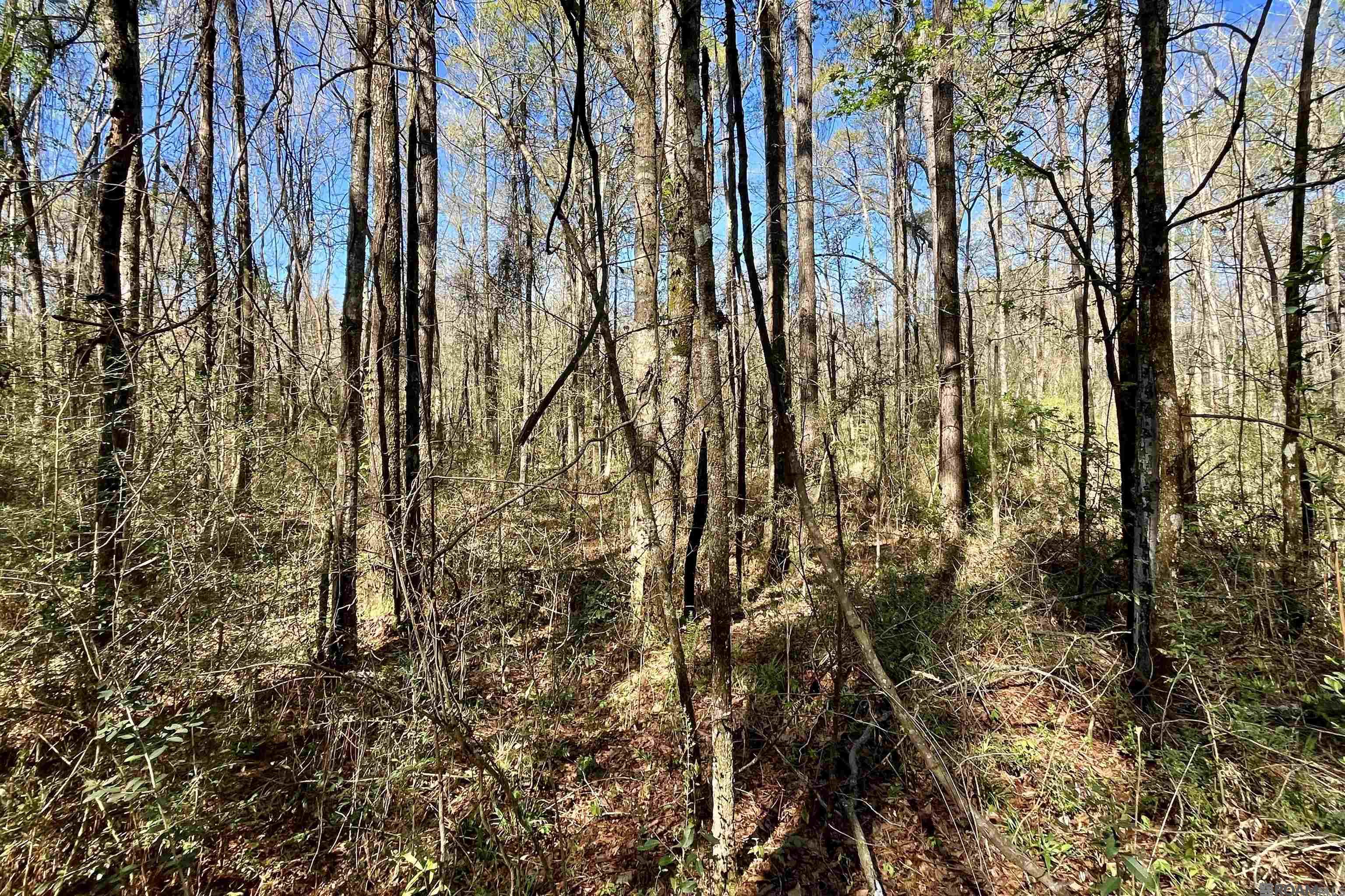 50 Hall And Lindsey Rd, Greensburg, LA, 70441