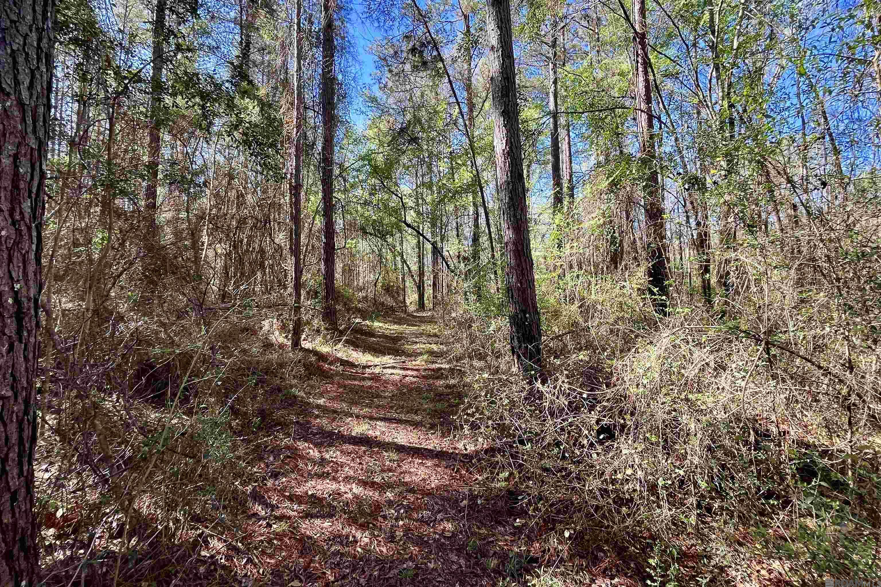 50 Hall And Lindsey Rd, Greensburg, LA, 70441