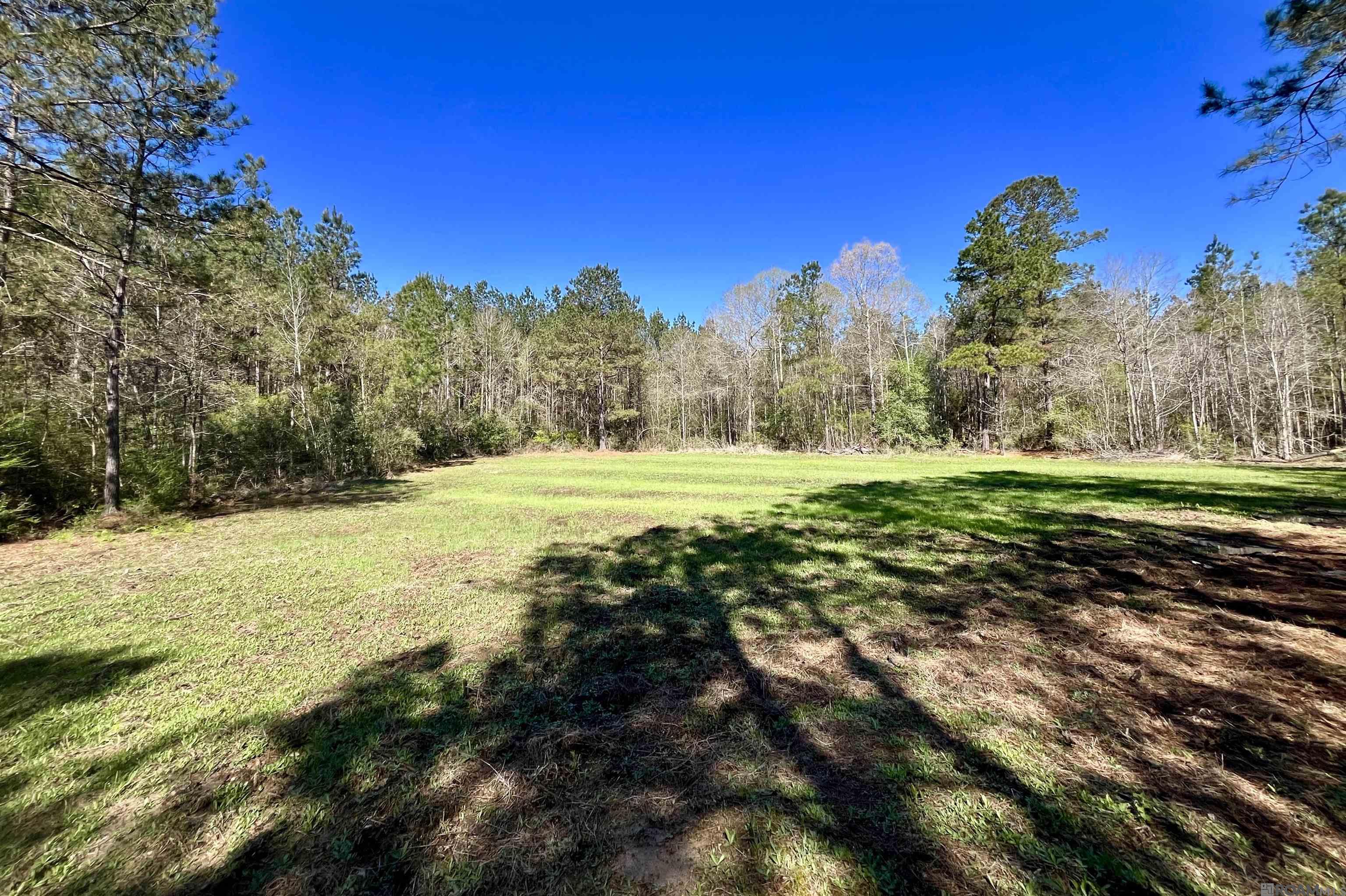 50 Hall And Lindsey Rd, Greensburg, LA, 70441