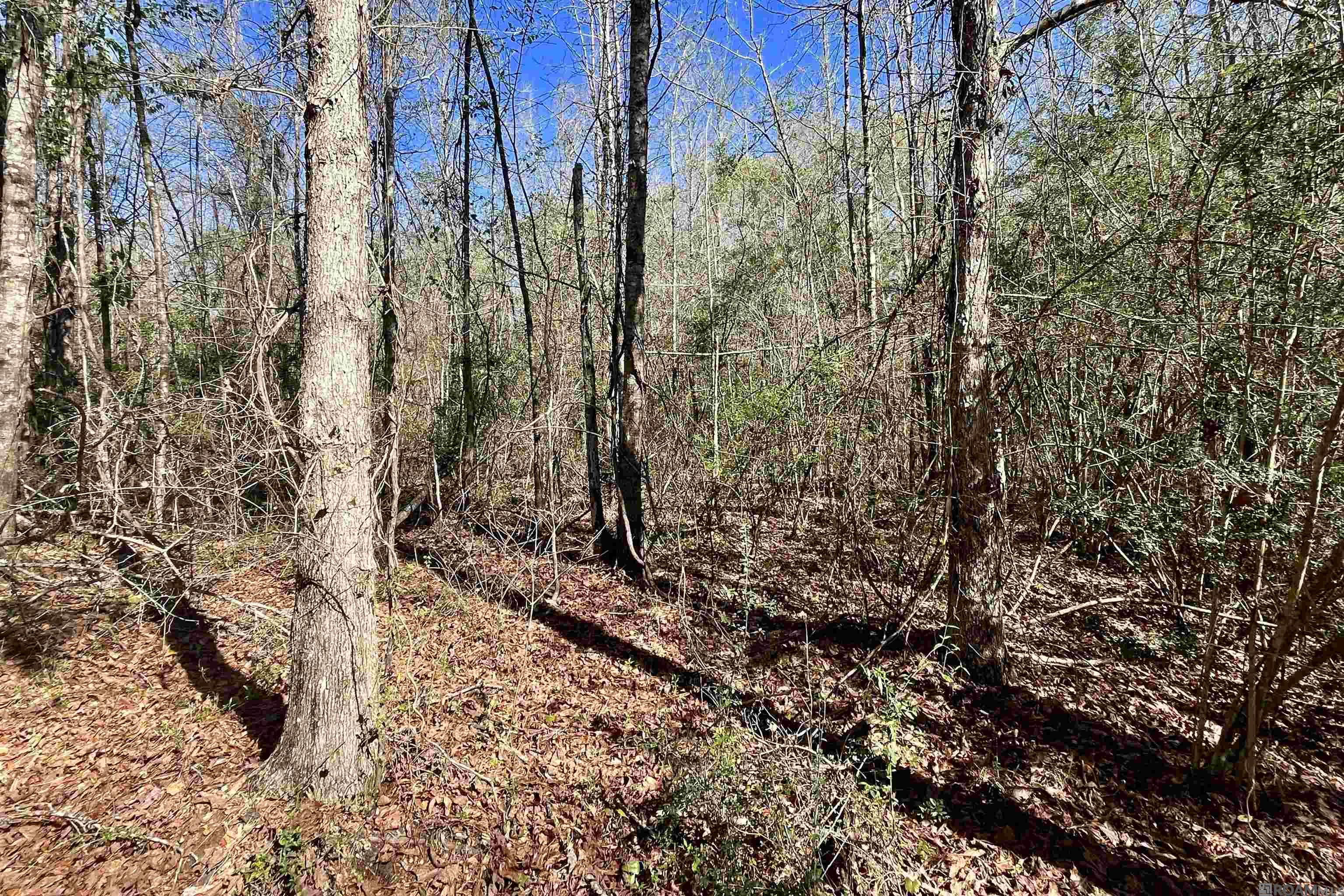 50 Hall And Lindsey Rd, Greensburg, LA, 70441